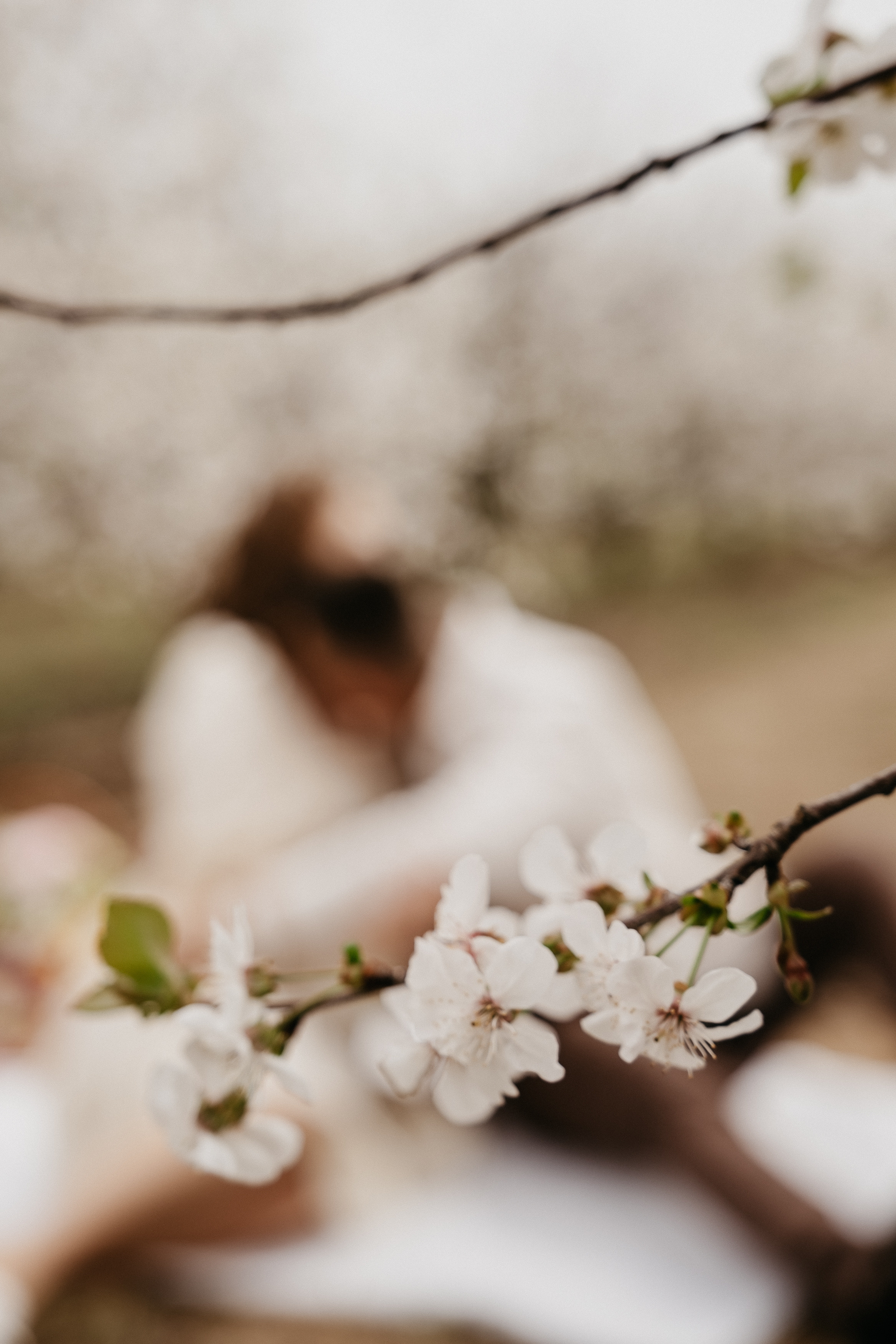 Фотосессия в цветущих садах Волгоград. Свадебный и семейный фотограф в Волгограде Кристина Иванова