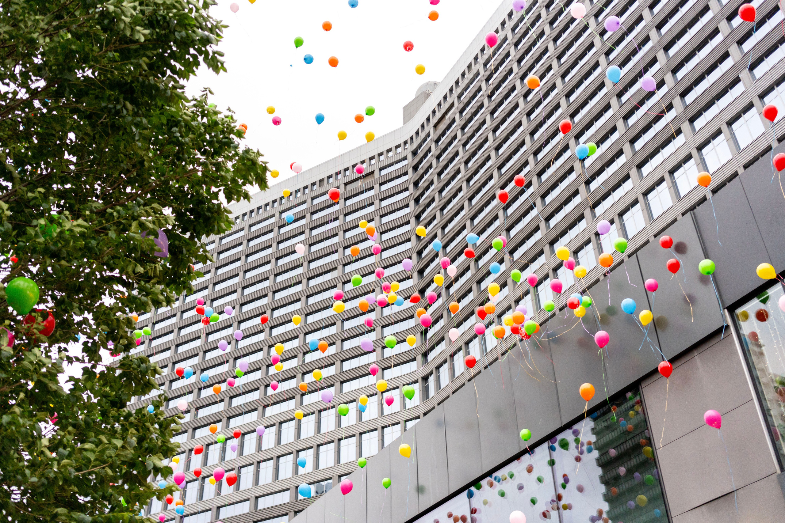 Выпускные 11 кл. Фотограф Юлия Попова