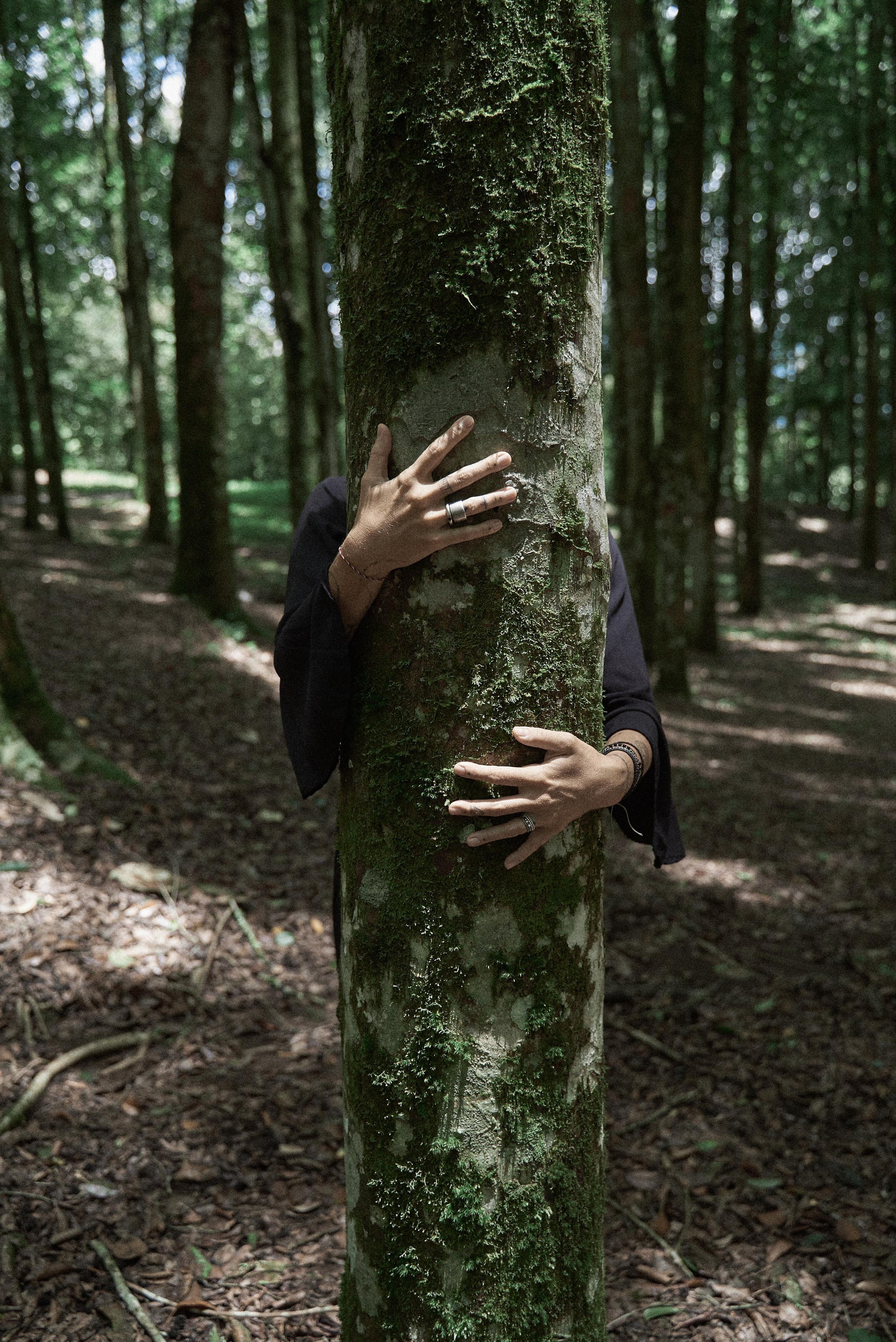 Julie nord garden. Главная