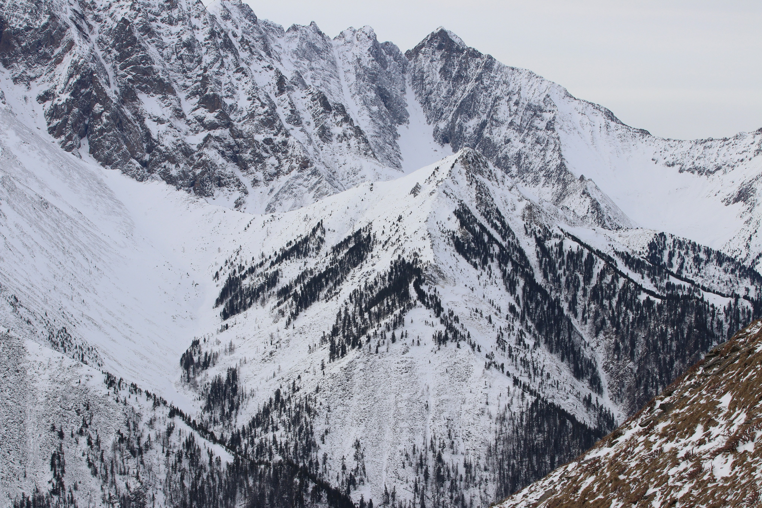 Аршан. Февраль 2025. Путешественник-фотограф из Санкт-Петербурга Татьяна Свистулина