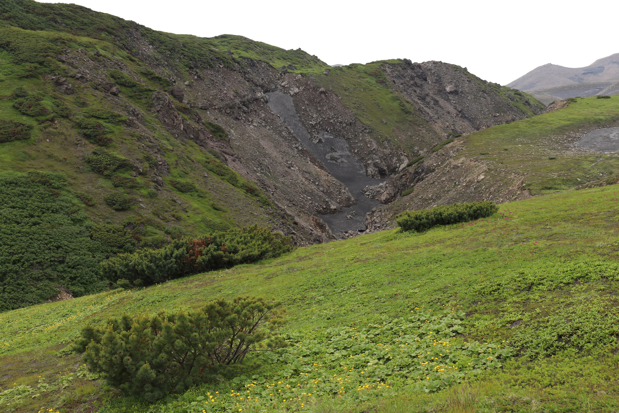 Камчатка и о. Парамушир. Июль 2024. Путешественник-фотограф из Санкт-Петербурга Татьяна Свистулина