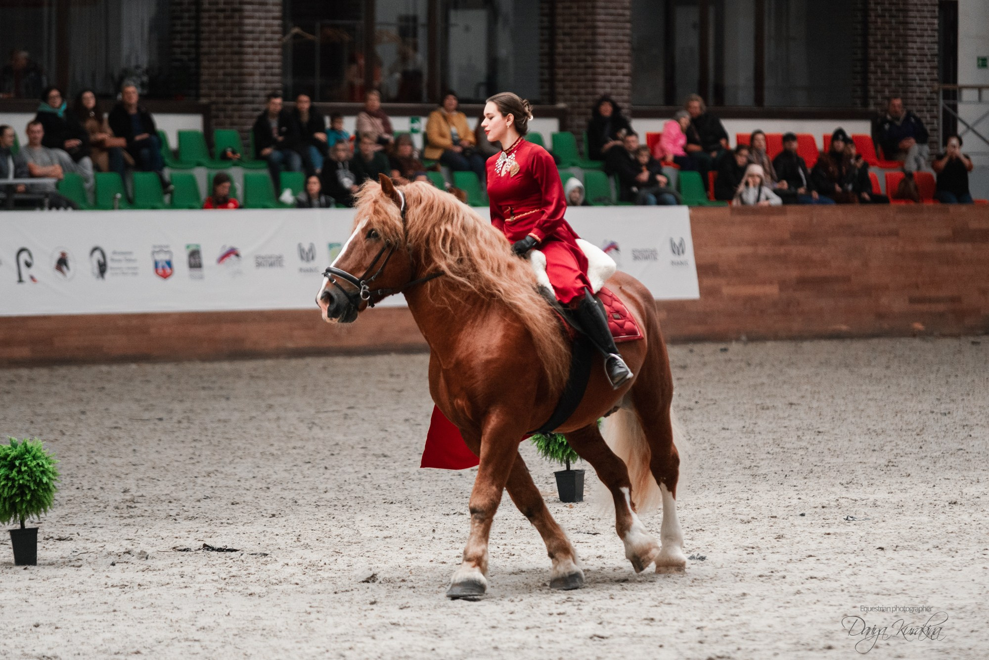 8-я международная выставка Конная Россия. Конный фотограф Куракина Дарья • Фотосессии с лошадьми