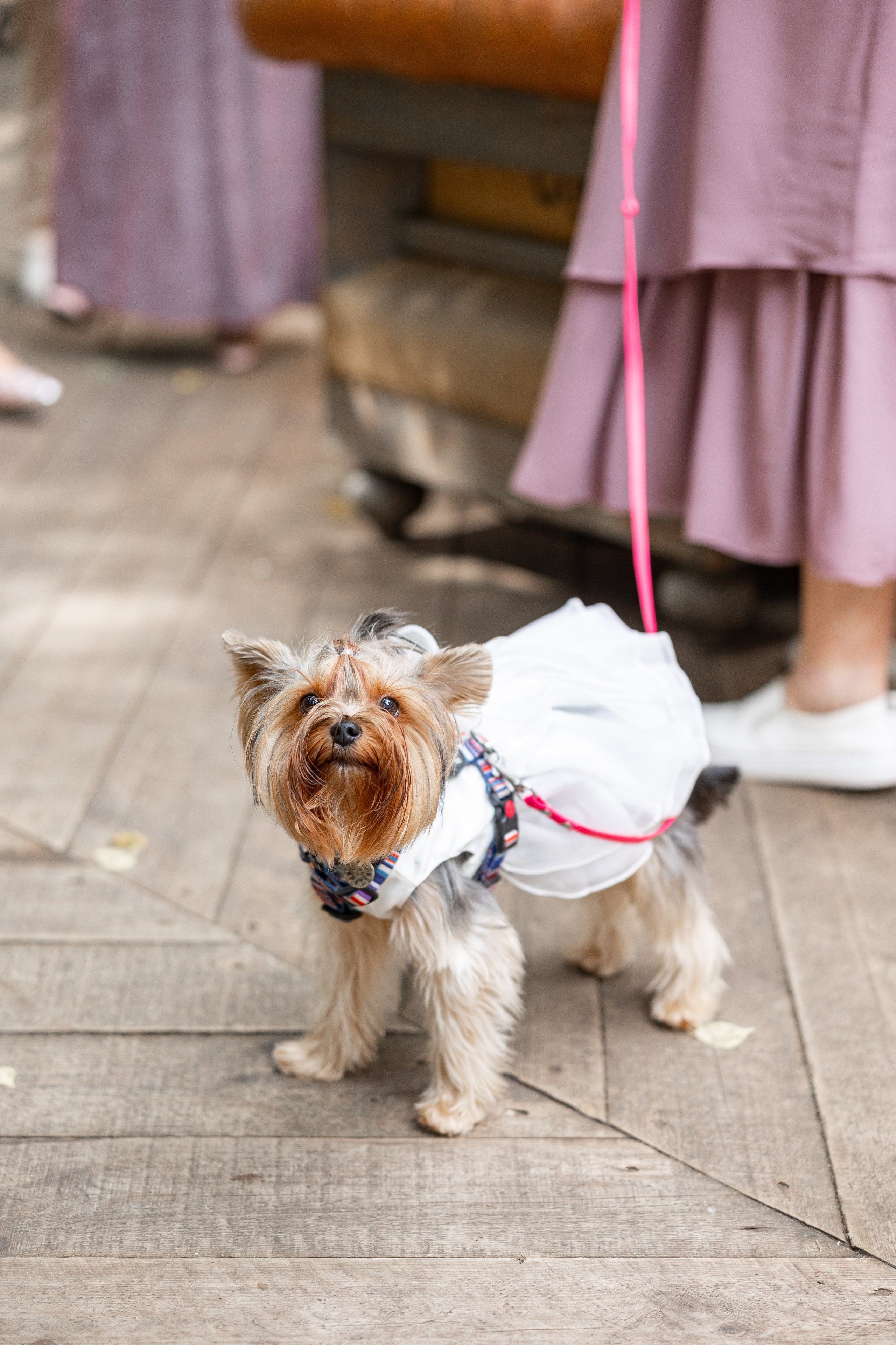 Съемка для Just mood wedding agency. Свадебный и семейный фотограф Москва Екатерина Верижникова
