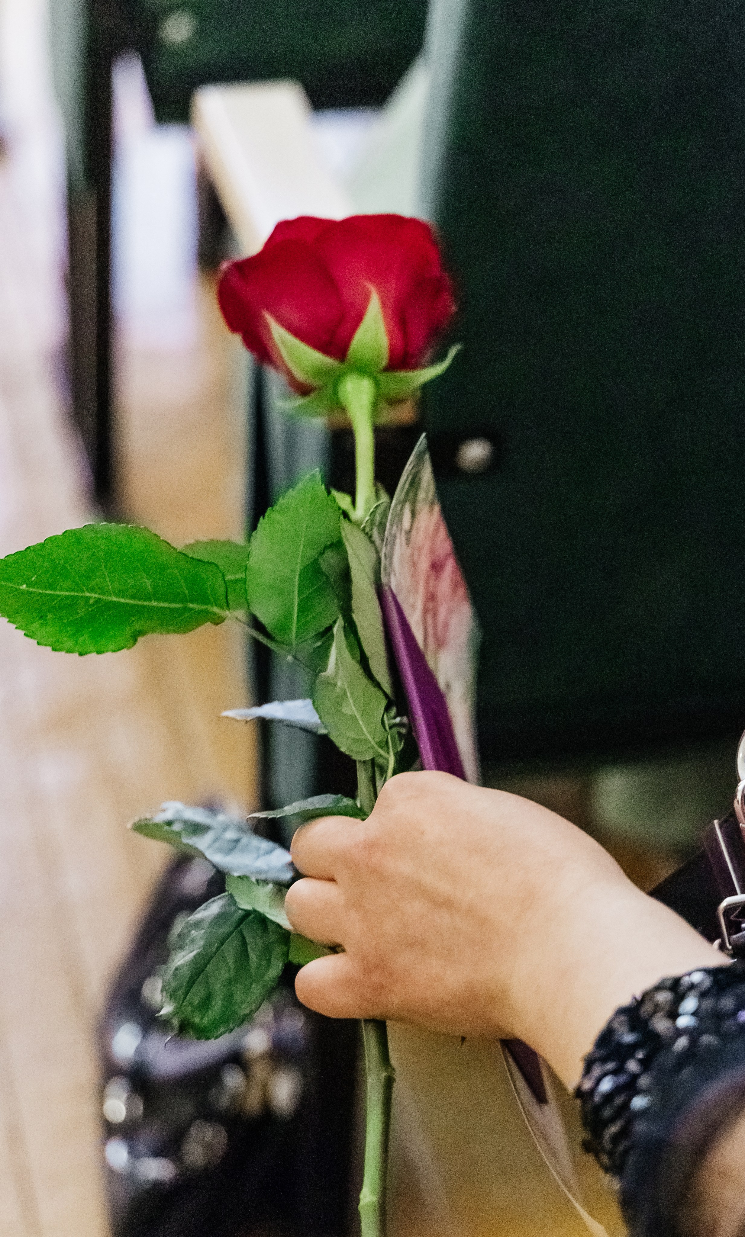 Фотосопровождение. Студия «Фокус» детская фотография Ольги Поповой г. Бийск