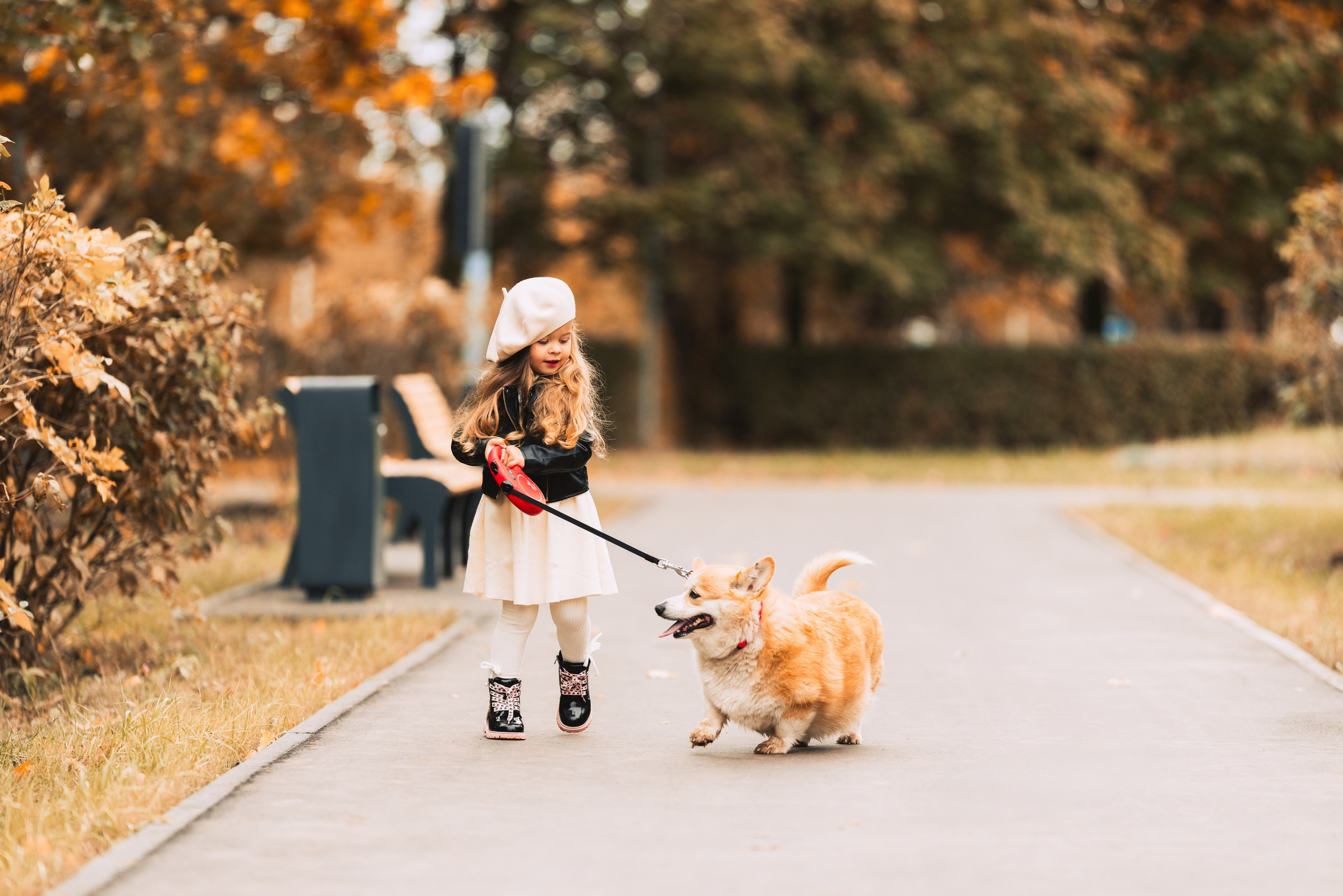Золотая осень с корги. Свадебный и семейный фотограф в Рязани Датская Ксения