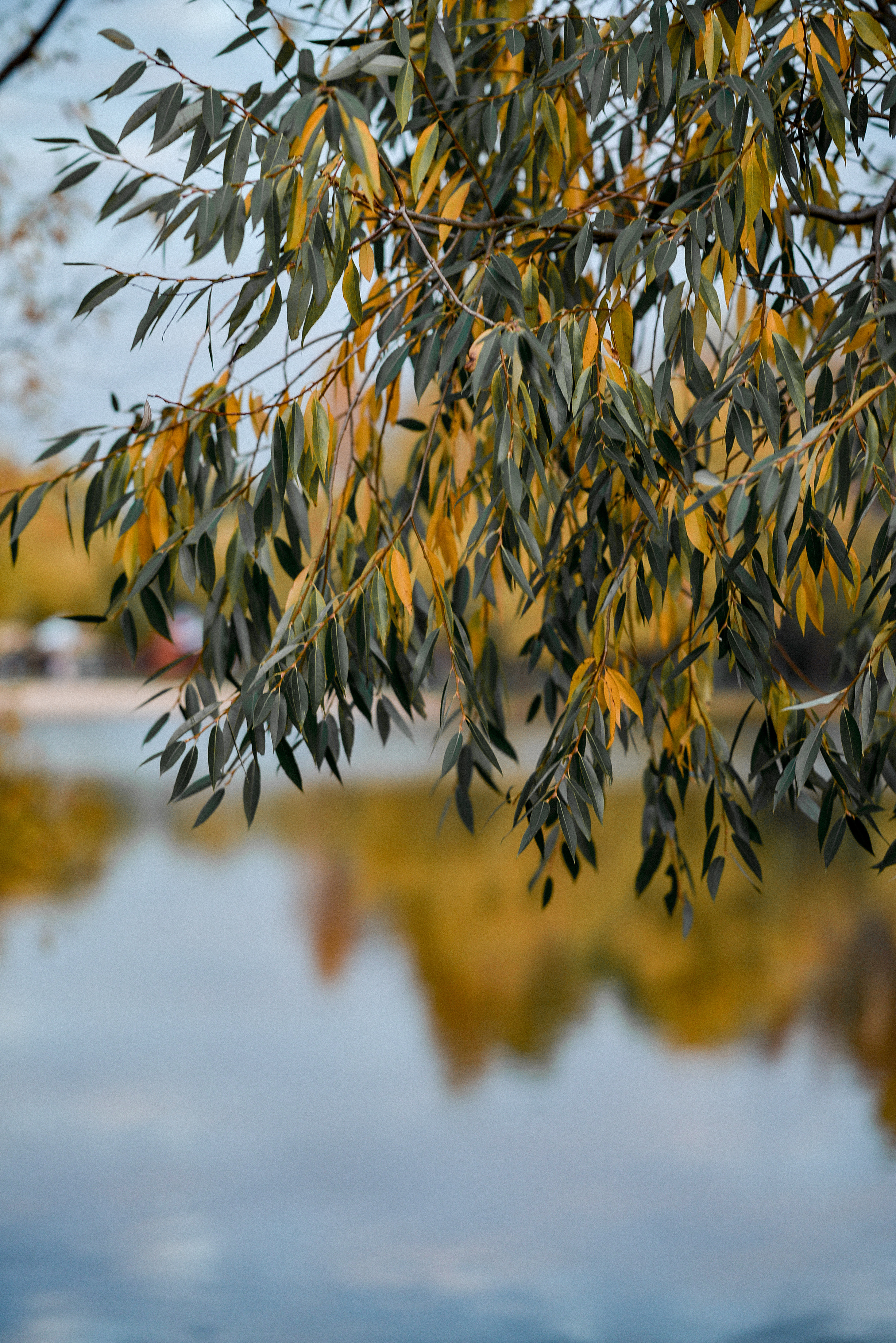 Надежда и Влад. Семейный и свадебный фотограф в Москве и Подмосковье Еремина Александр