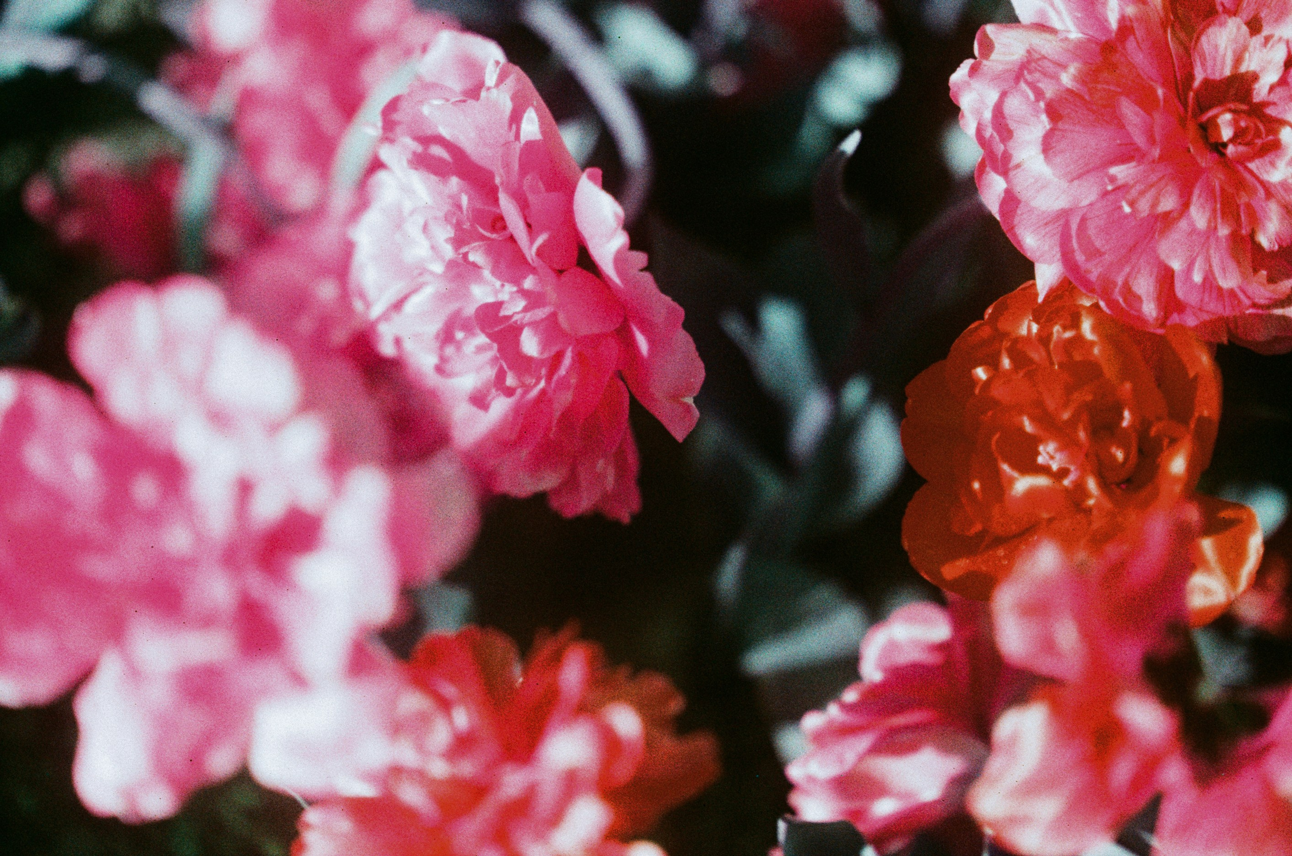 Press enter to exit // ukraine, crimea VIII. EVER EXPOSED