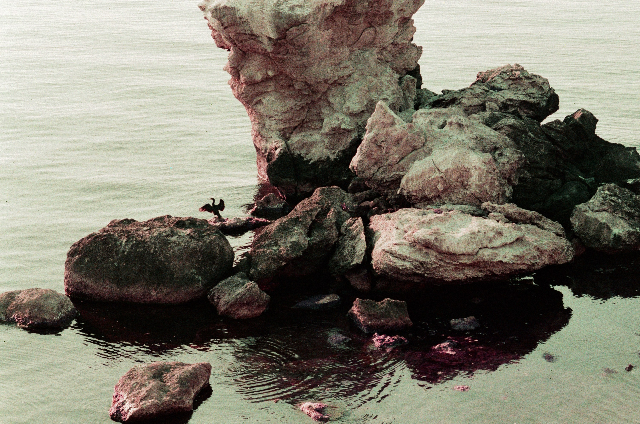 Dig it // ukraine, crimea VI. EVER EXPOSED