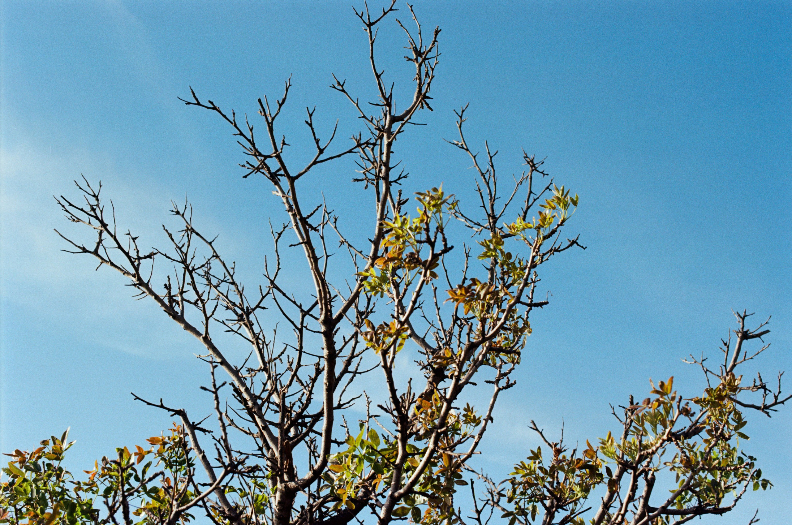 Kool-aid // ukraine, crimea V. EVER EXPOSED