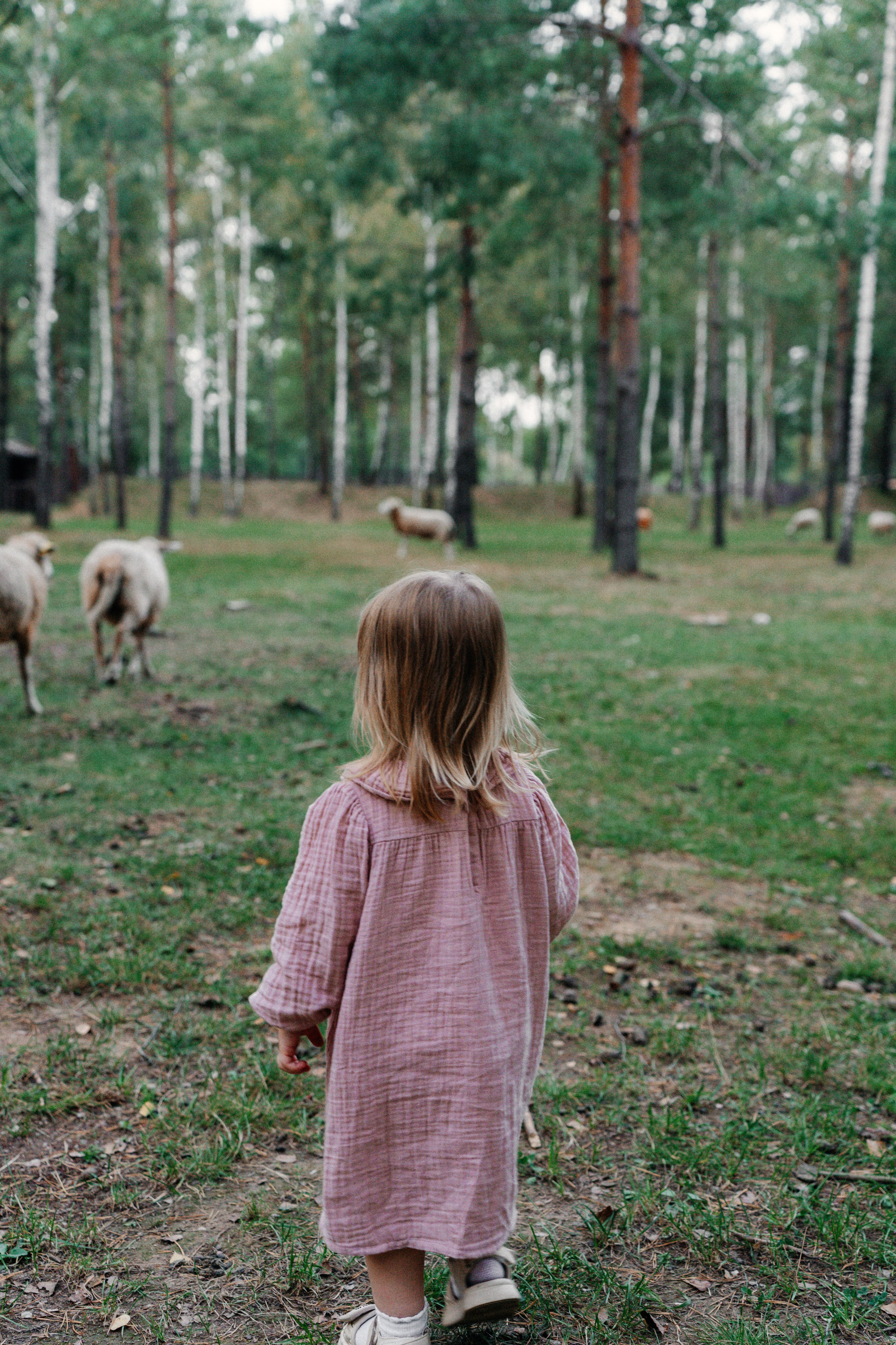Диприз — в мире диких животных. Ваш семейный фотограф в Минске — Вика Трегубова