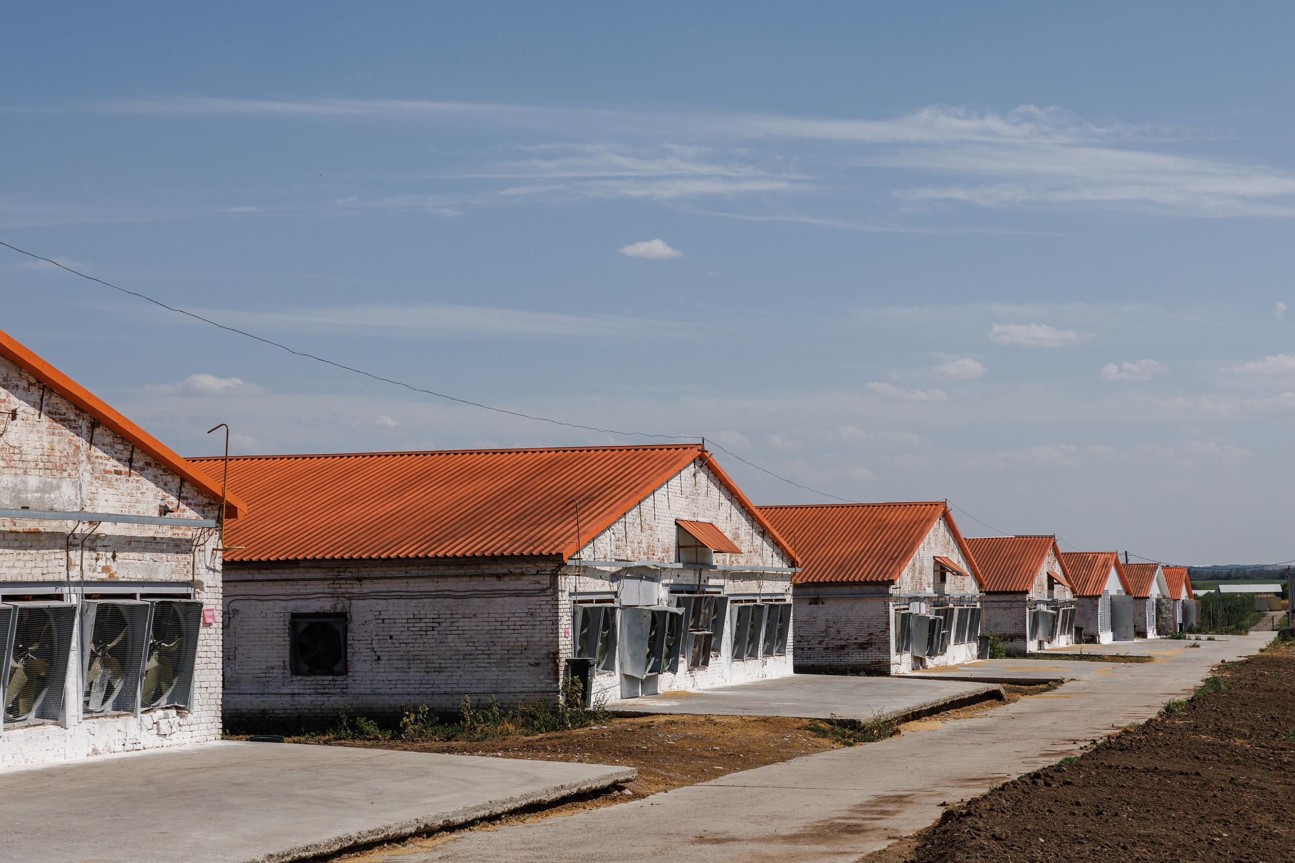 Баканский Бройлер. Фотограф Ставрополь Петр Голубенко