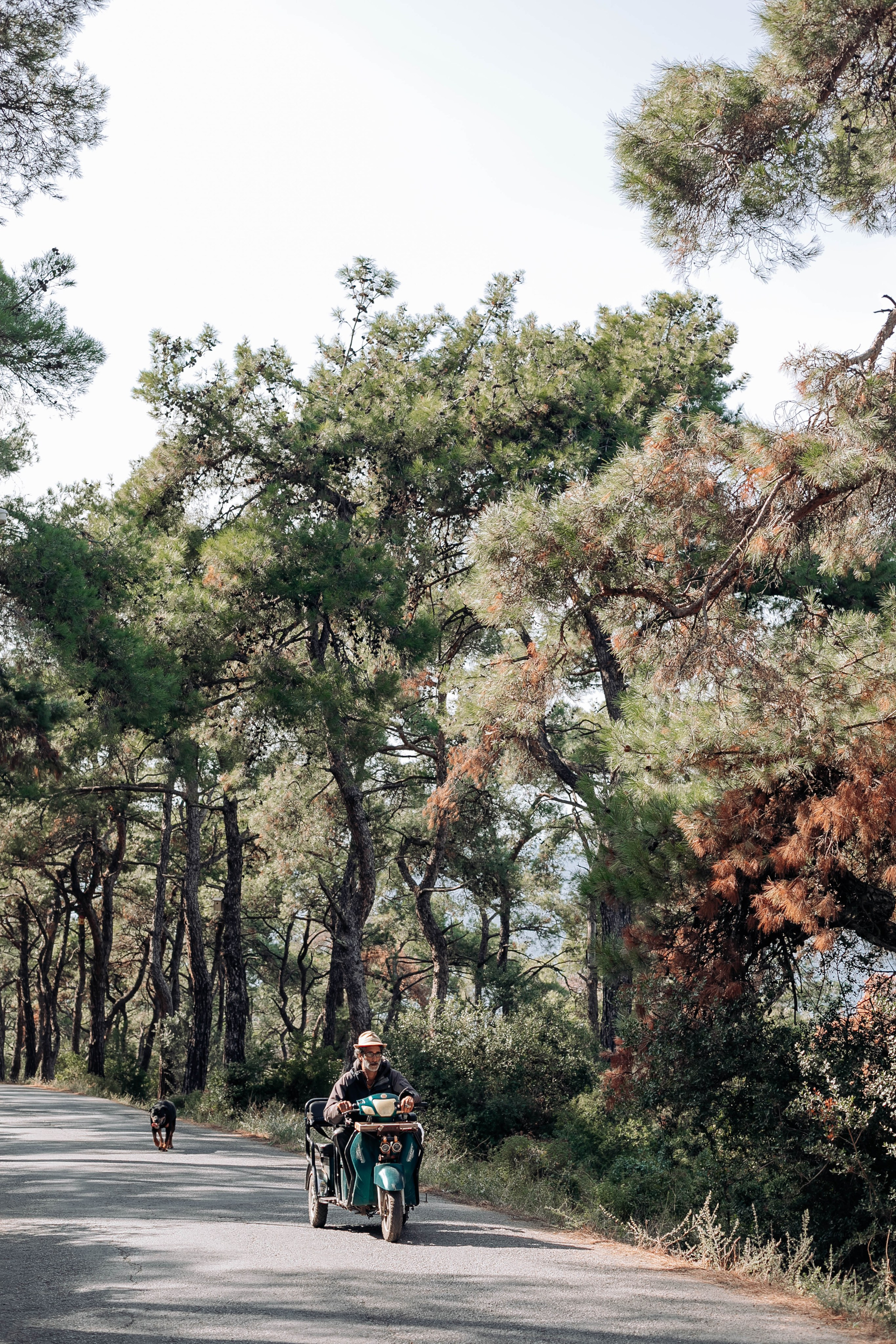 Istanbul. Katerina Spekhova