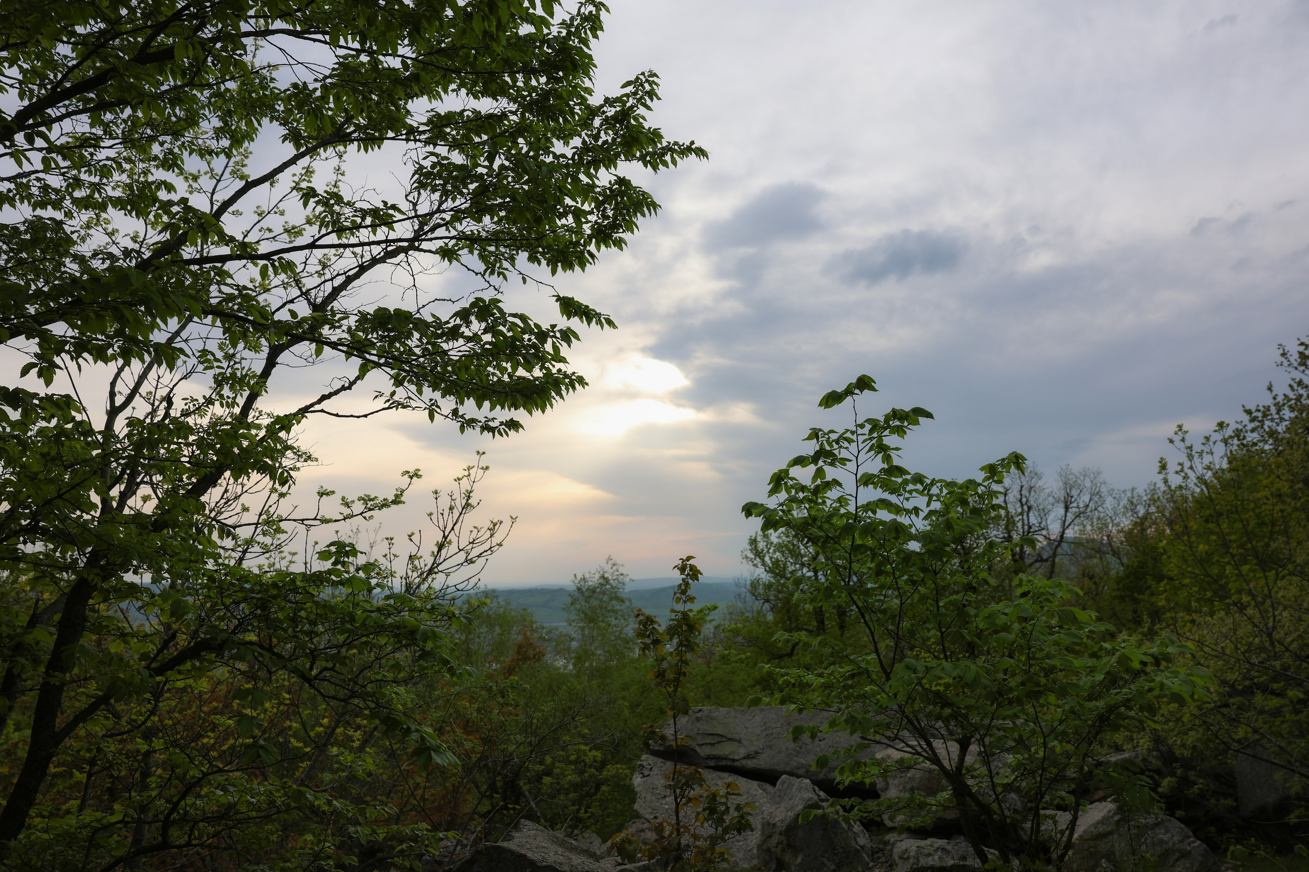 Фотограф Мария Алексеева. Мария Алексеева. Фотограф в Москве