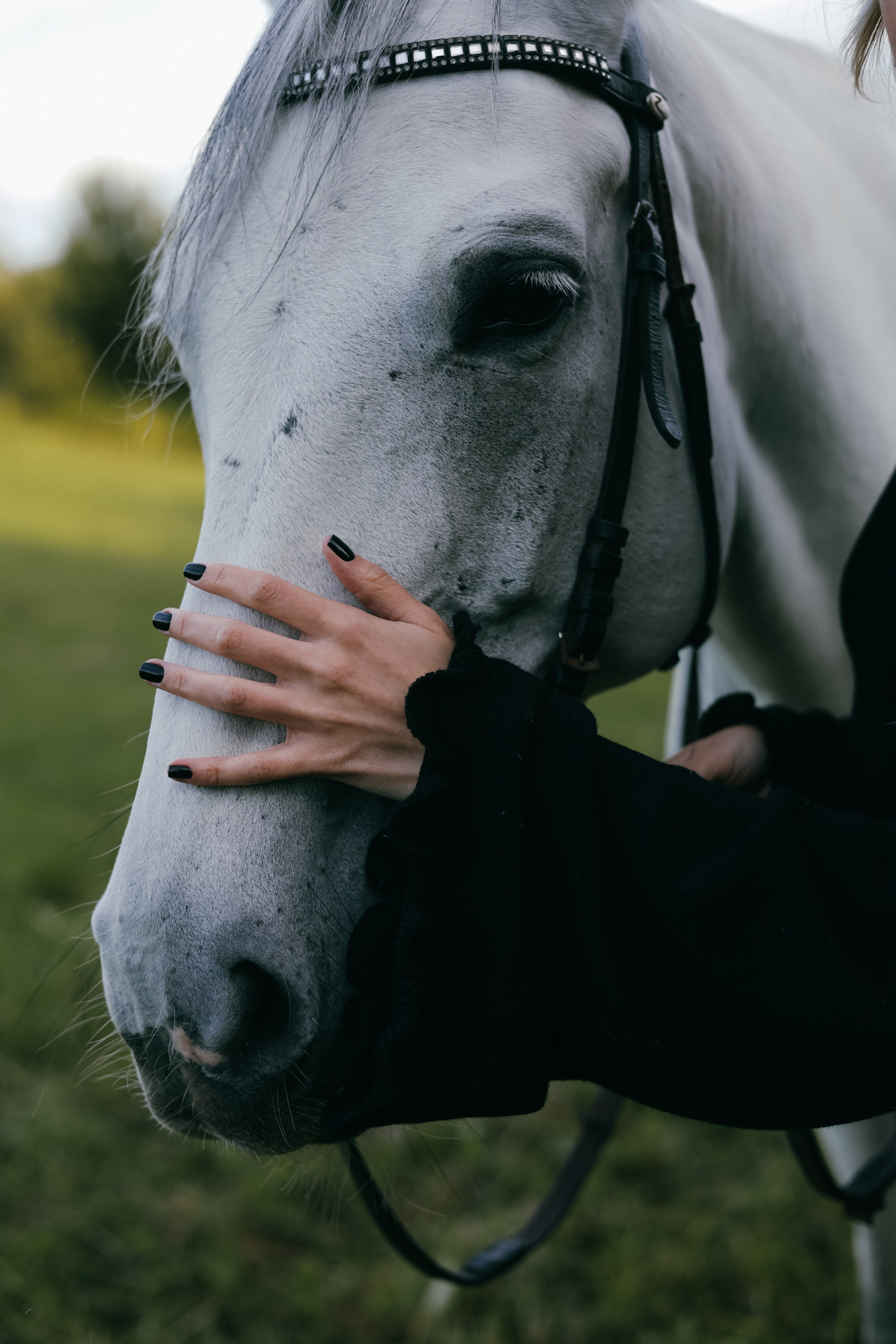 Александра. Главная