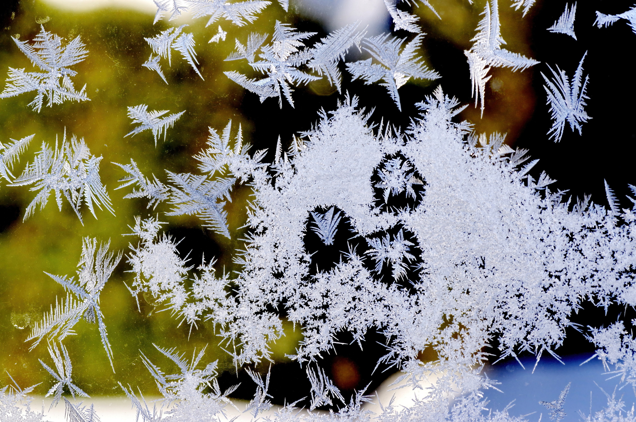 3. Вадим Шейдин