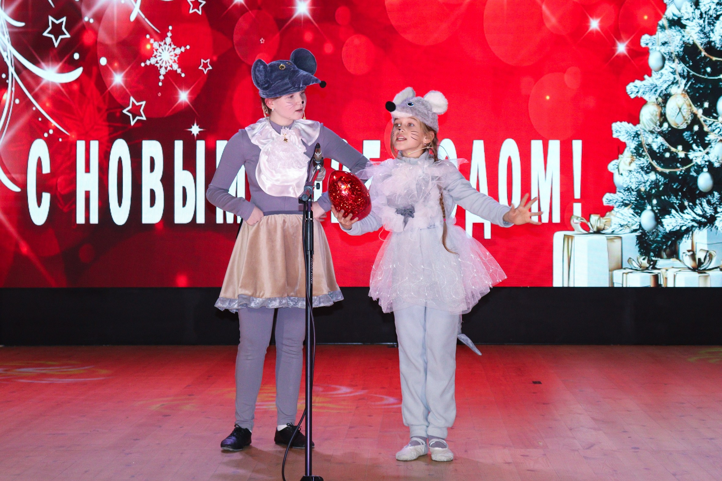 Новогодний концерт Шишли-Мышли