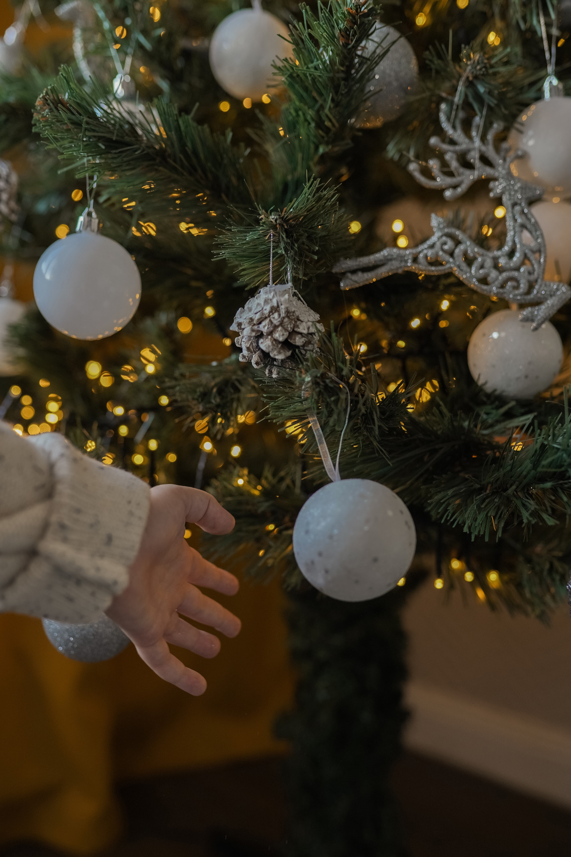 Новогодняя история. Семейный фотограф Москва Путилково Гуляшова Екатерина