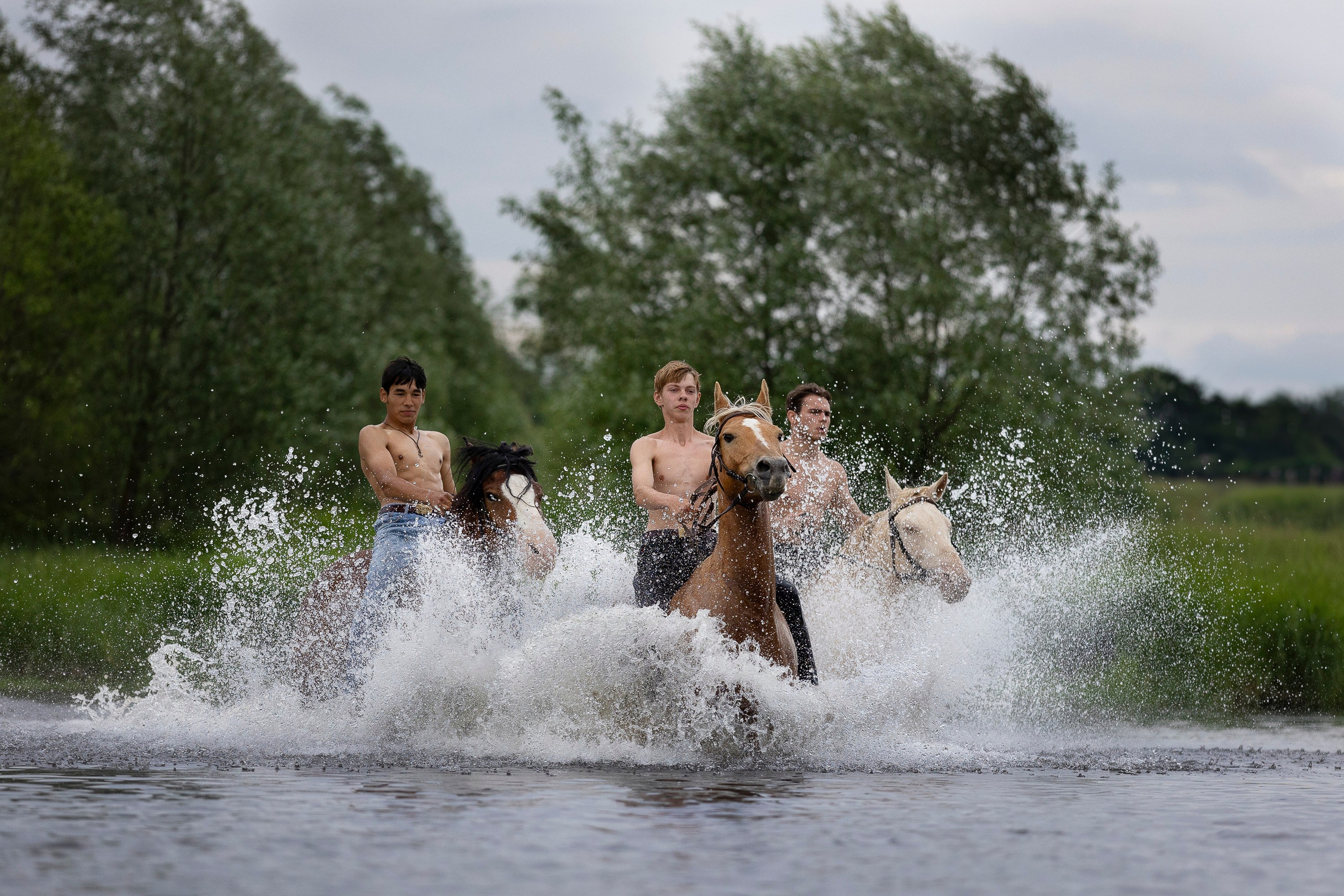 Аванпост. Фотограф анималист, семейный фотограф, фотограф собак Комратова Мария. г. Москва