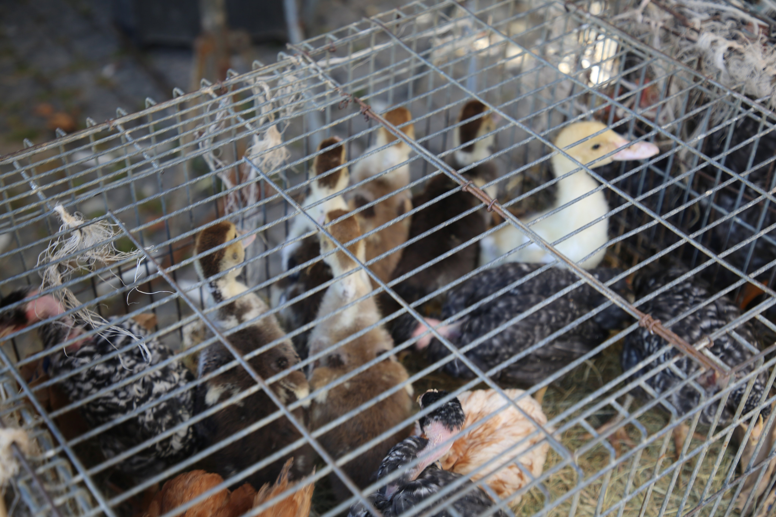 Espihnio, Portugal. Andrey Filippov Photographer