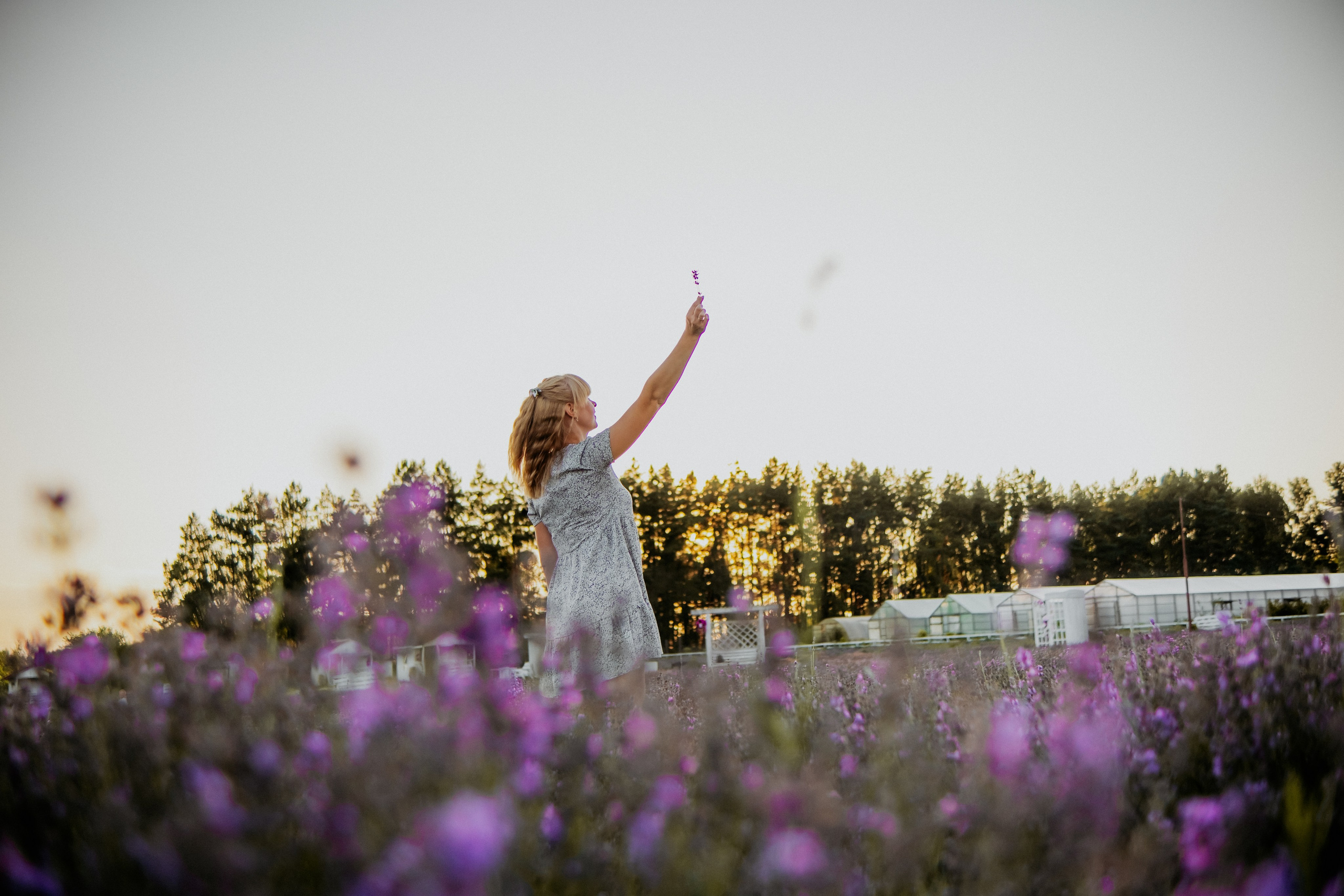 Семейная съемка в лованде. Nattie.ph