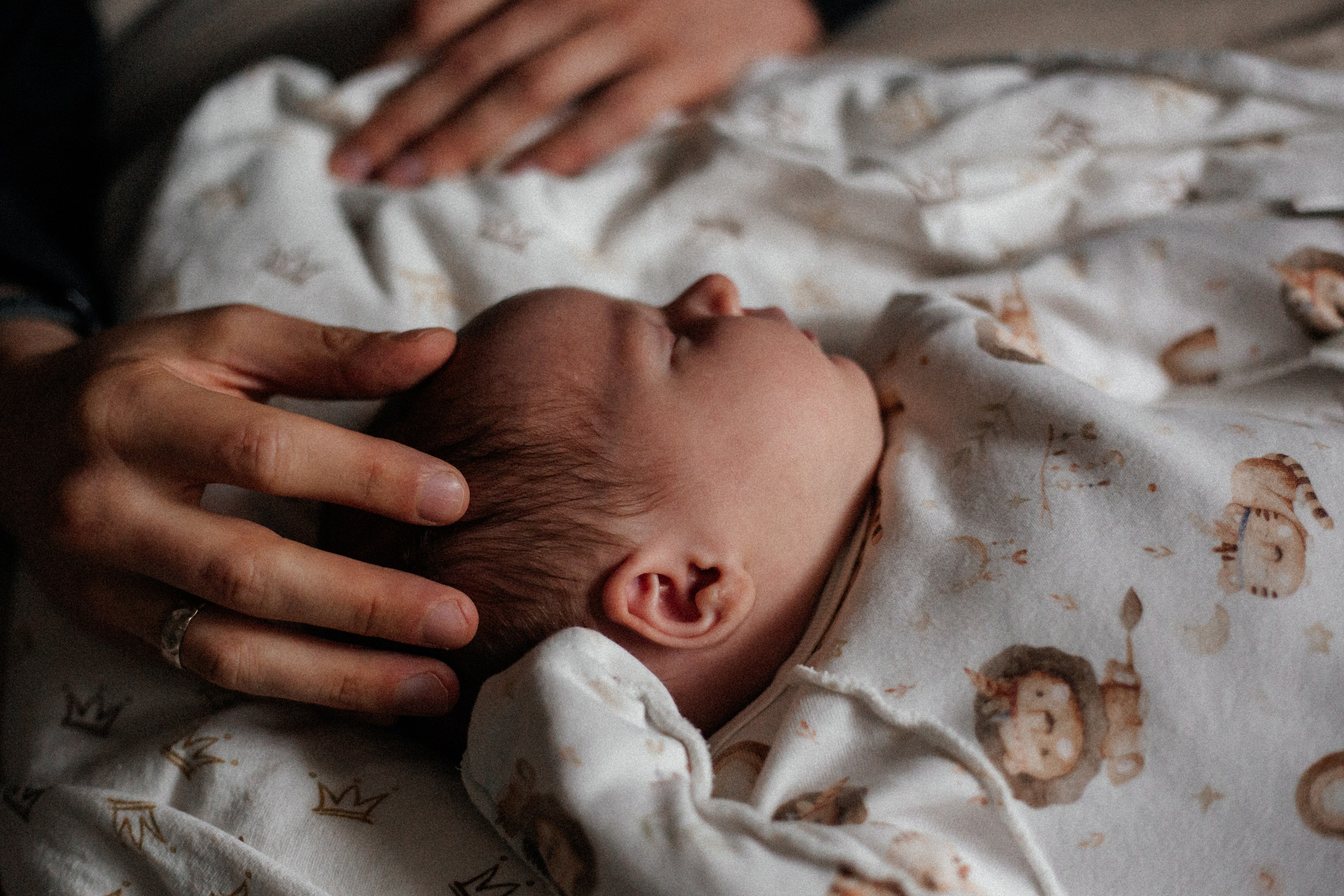 Ева. Семейный фотограф Виктория Потехина Москва