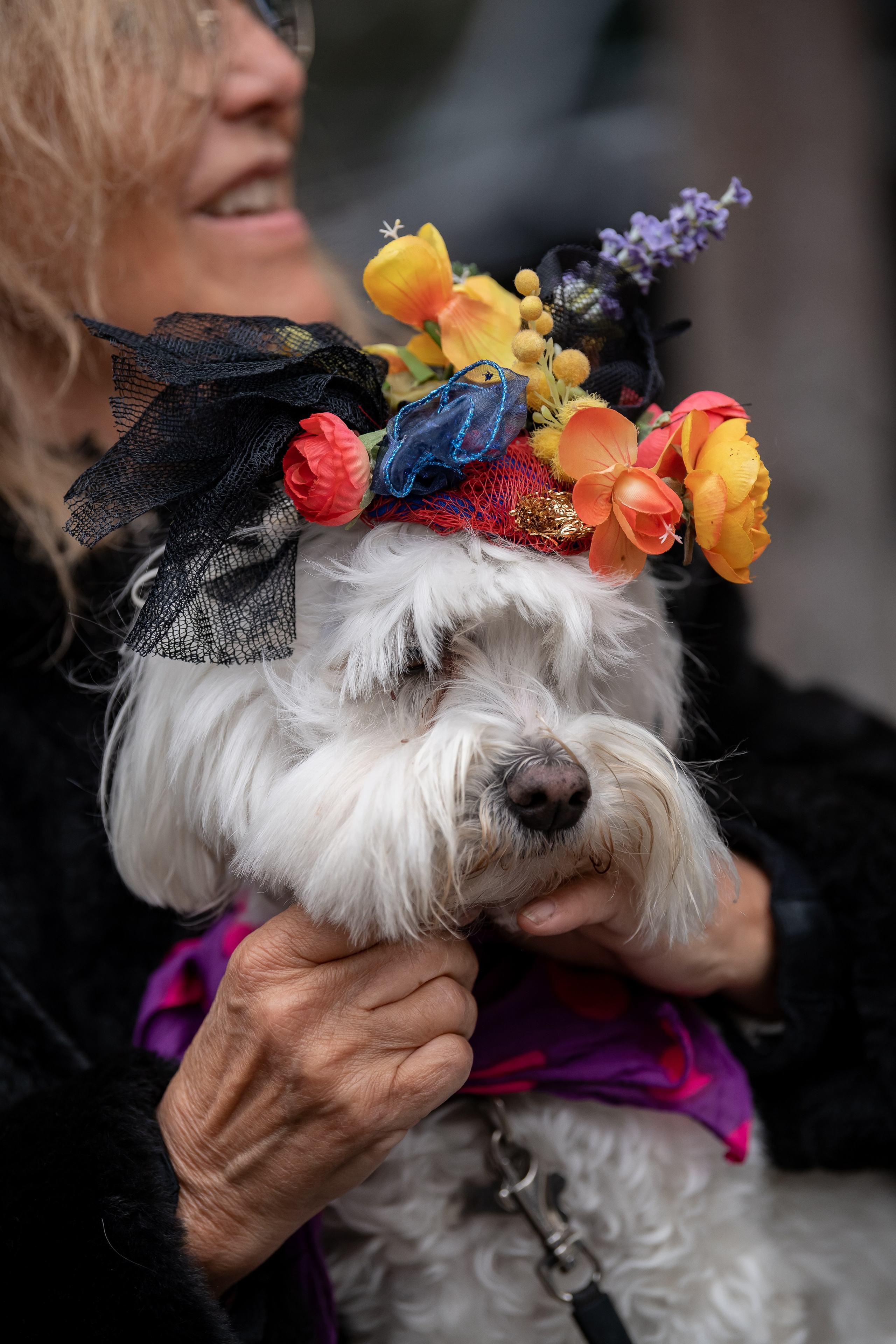 Барселона. Парад шляп. 2019. Дима Бабушкин. Фотограф. Подиум. Репортаж. Творчество. Дорого