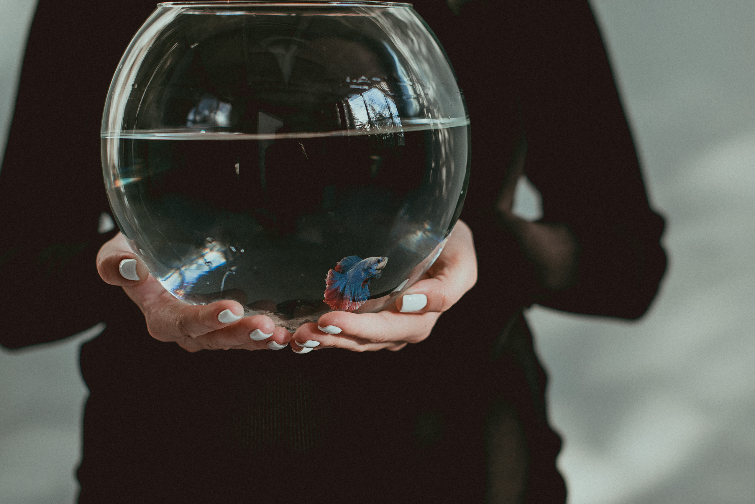 Рыбка плывет, а внутри свет. Семейный документальный фотограф в Волгограде Мариэта Додина