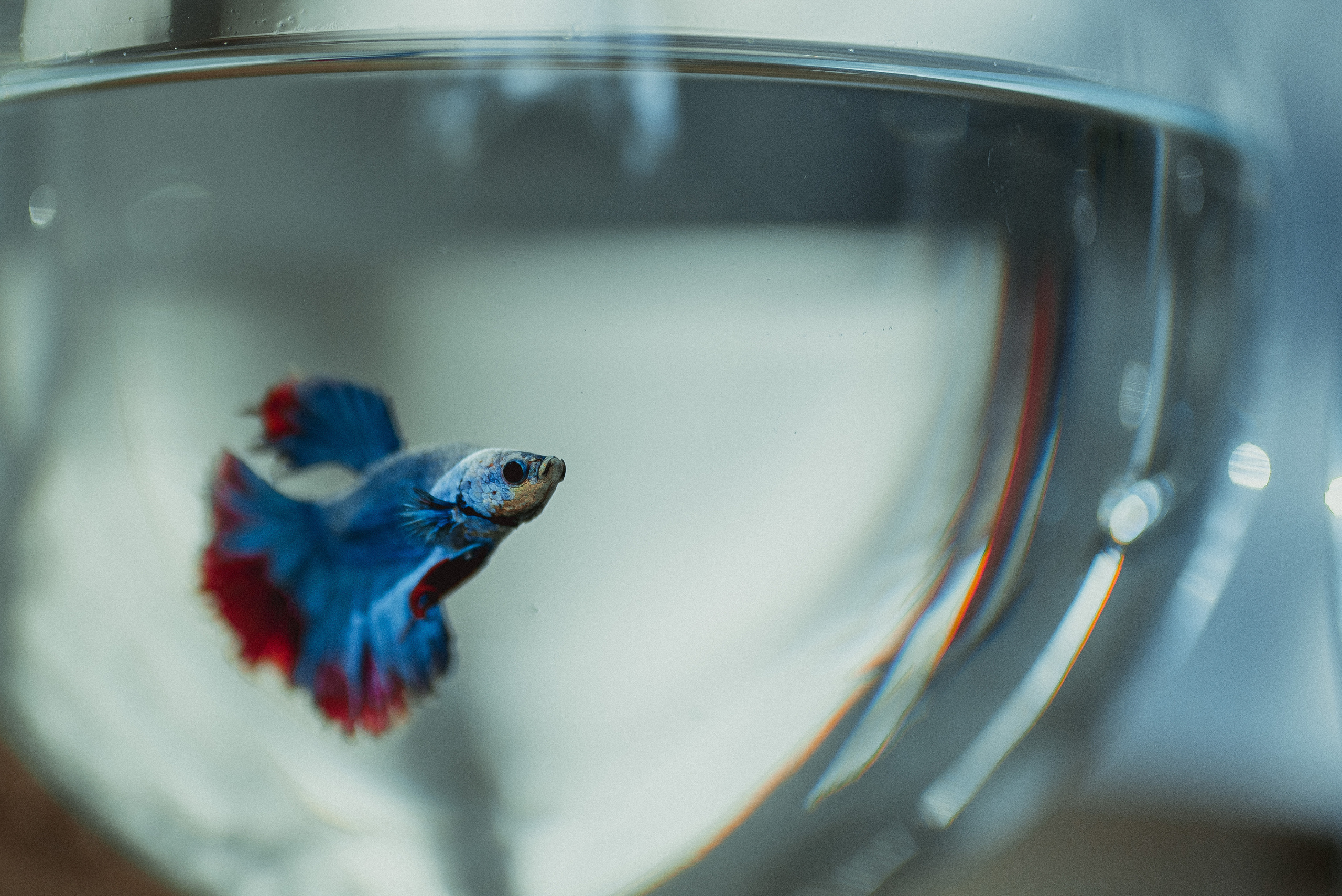 Рыбка плывет, а внутри свет. Семейный документальный фотограф в Волгограде Мариэта Додина