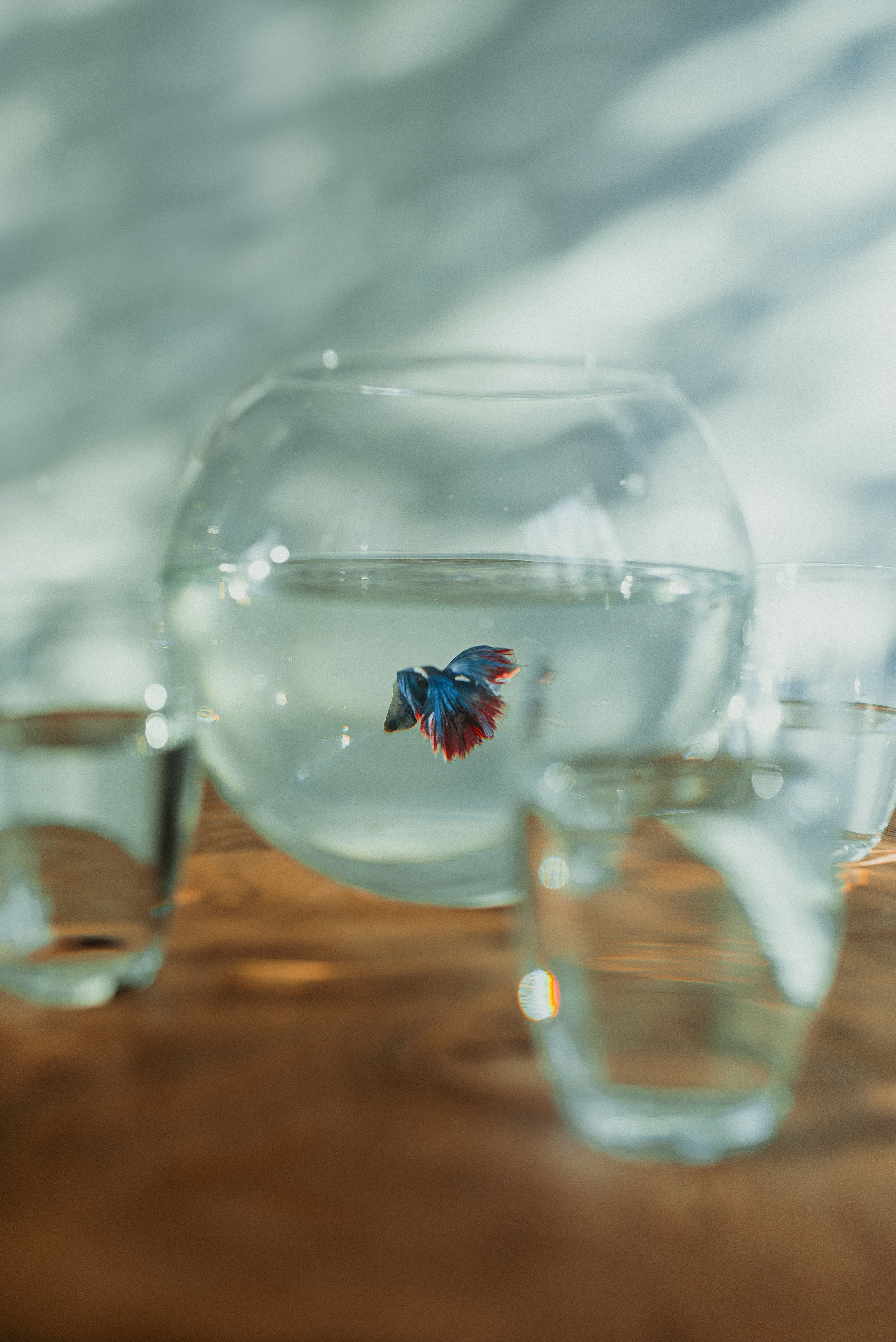 Рыбка плывет, а внутри свет. Семейный документальный фотограф в Волгограде Мариэта Додина