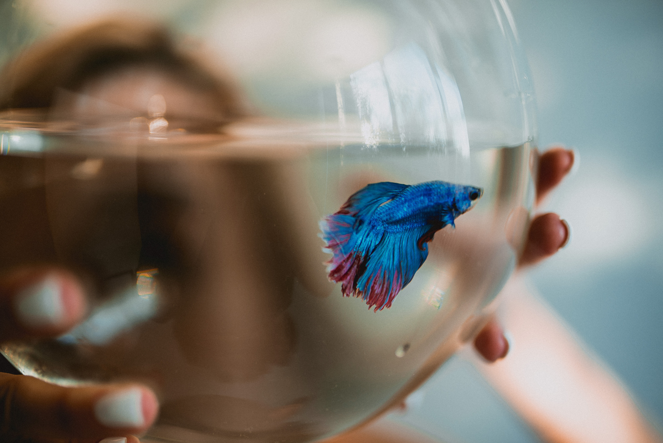 Рыбка плывет, а внутри свет. Семейный документальный фотограф в Волгограде Мариэта Додина