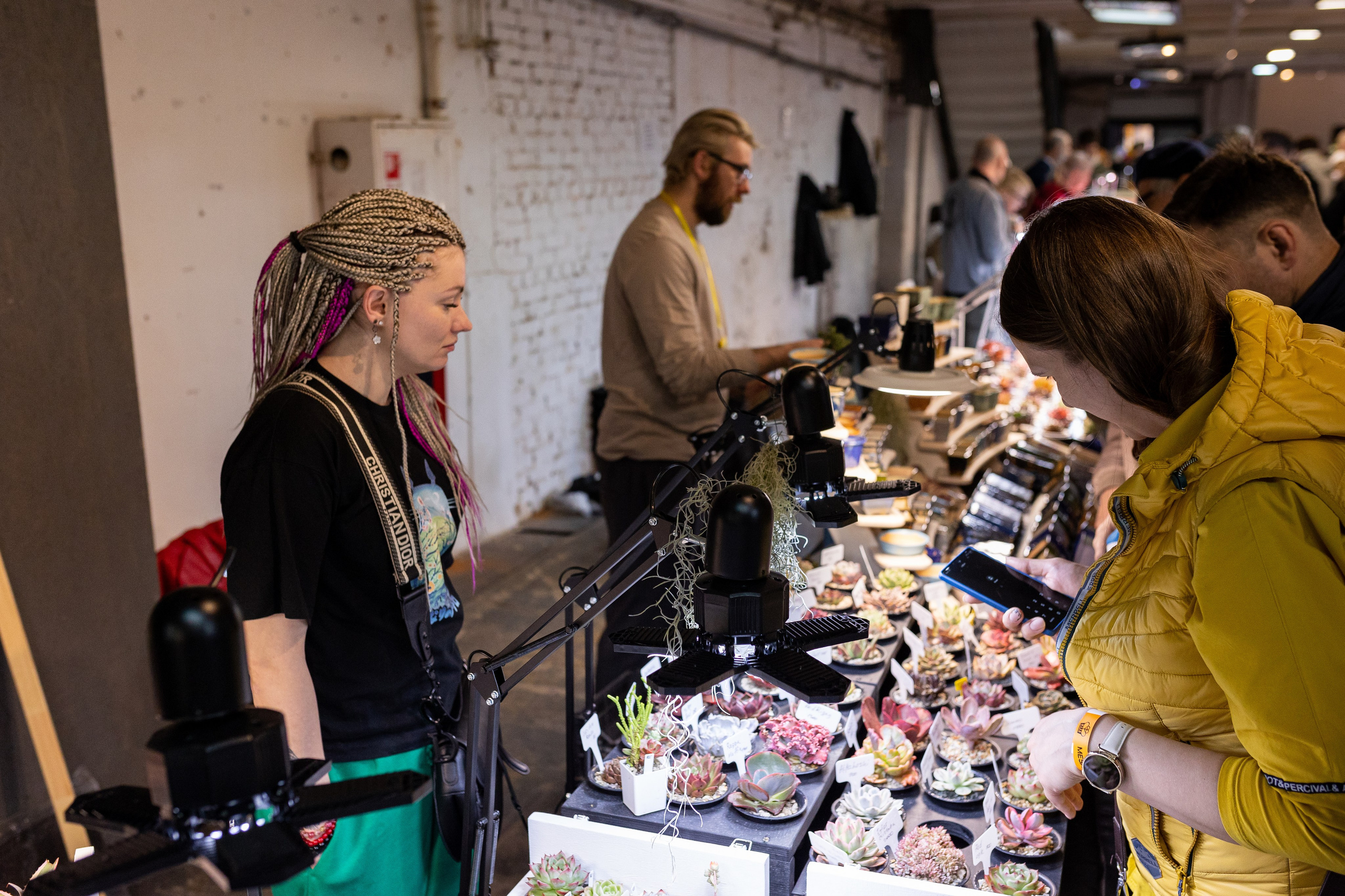 Meza market 2024. Александра Куликова фотограф, Москва