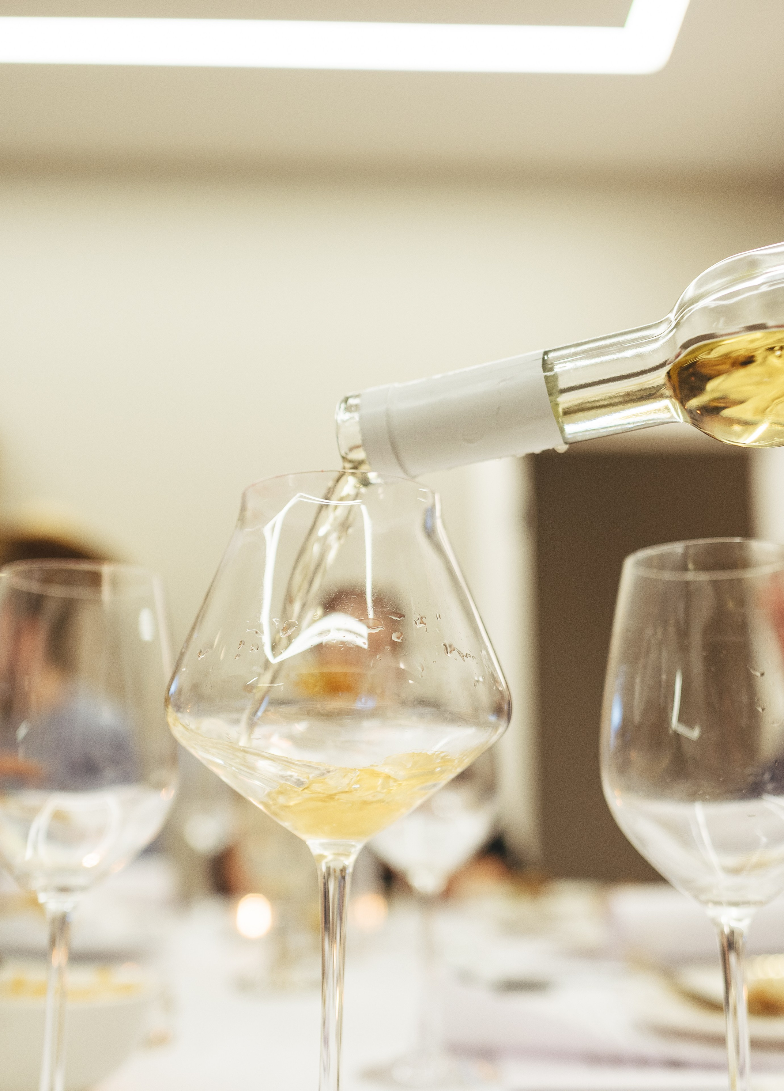 Degusteishen wine 2024. <3