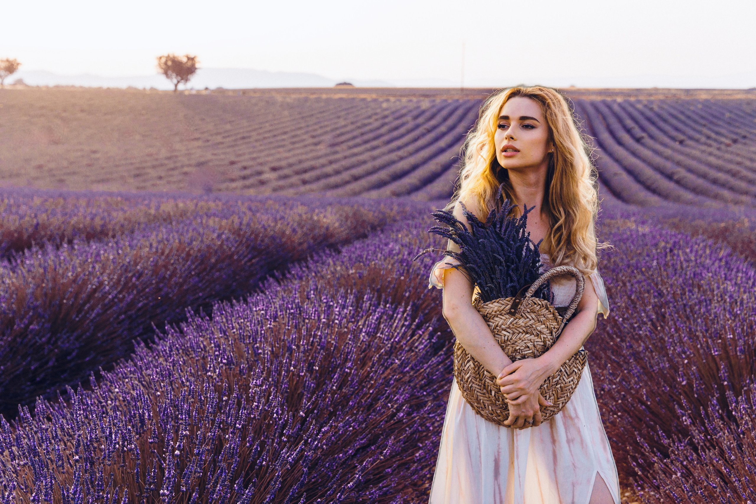 Прованс. Фотограф и видеограф Анна Домашенко