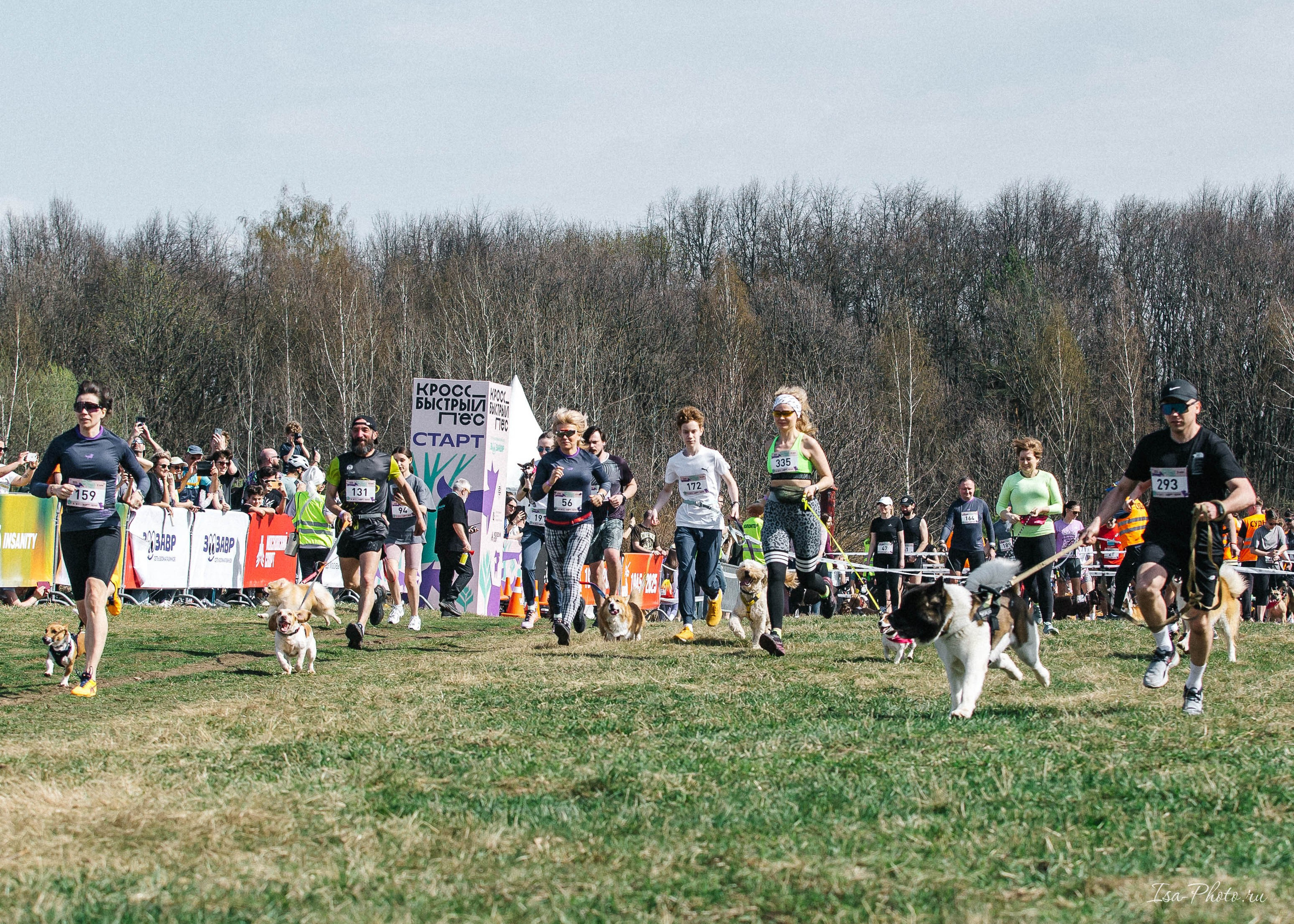 Кросс «Быстрый пёс» 2025. Репортажный фотограф в Москве