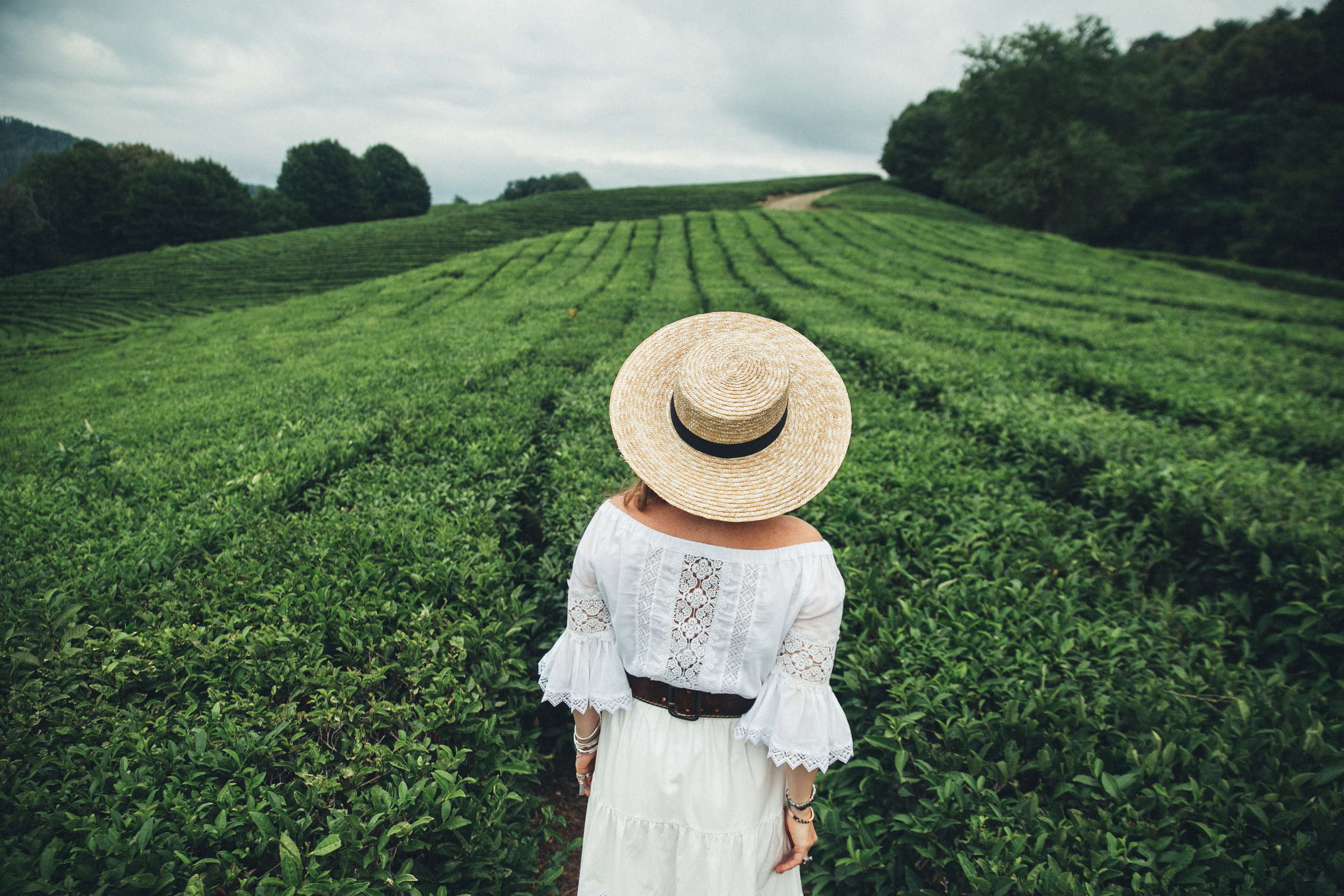 Съемка на чайных плантациях на Мацесте в сочи. Фотограф Галина Скорик