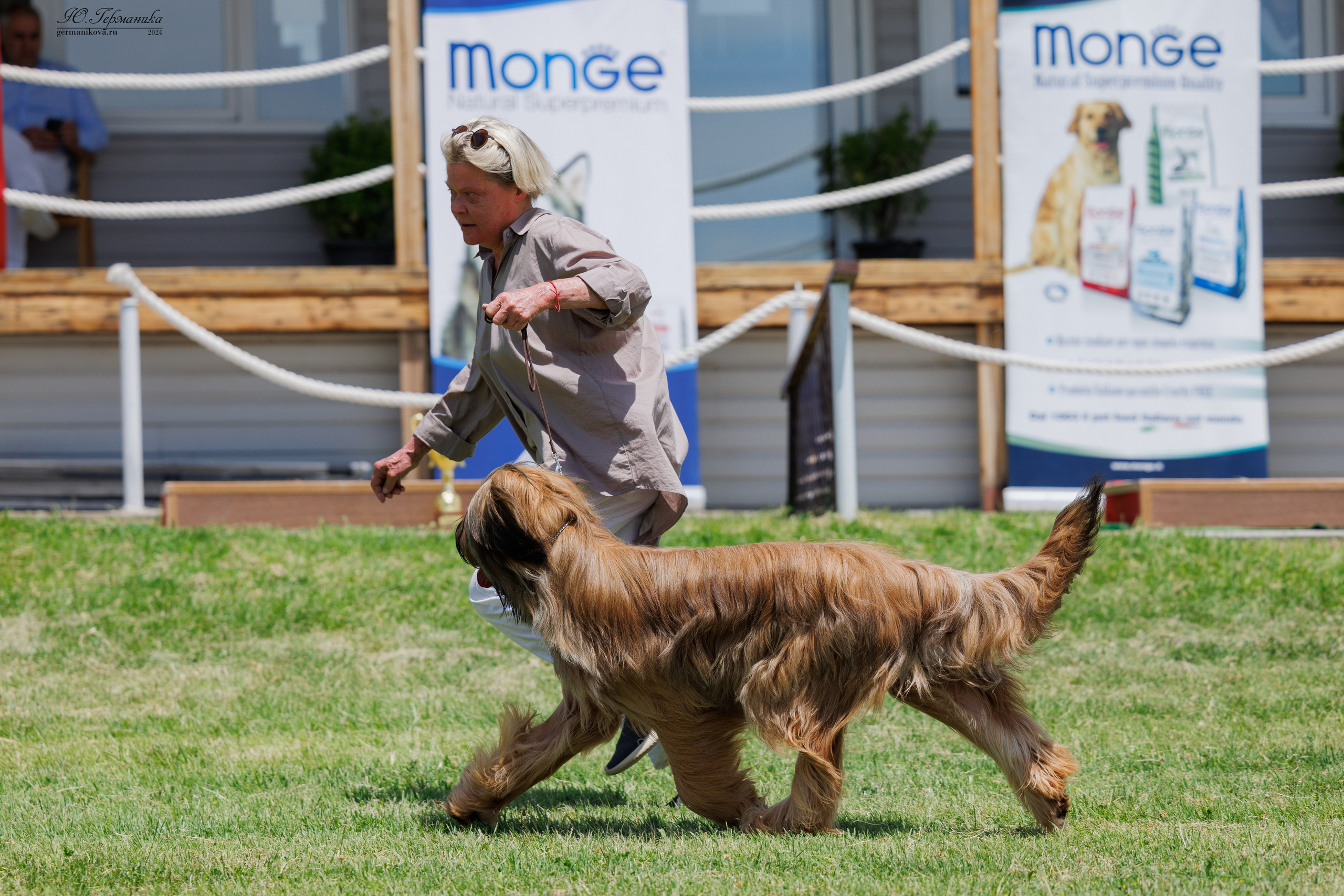 Ереван 3-5.06.2024. Фотограф-анималист Юлия Германика