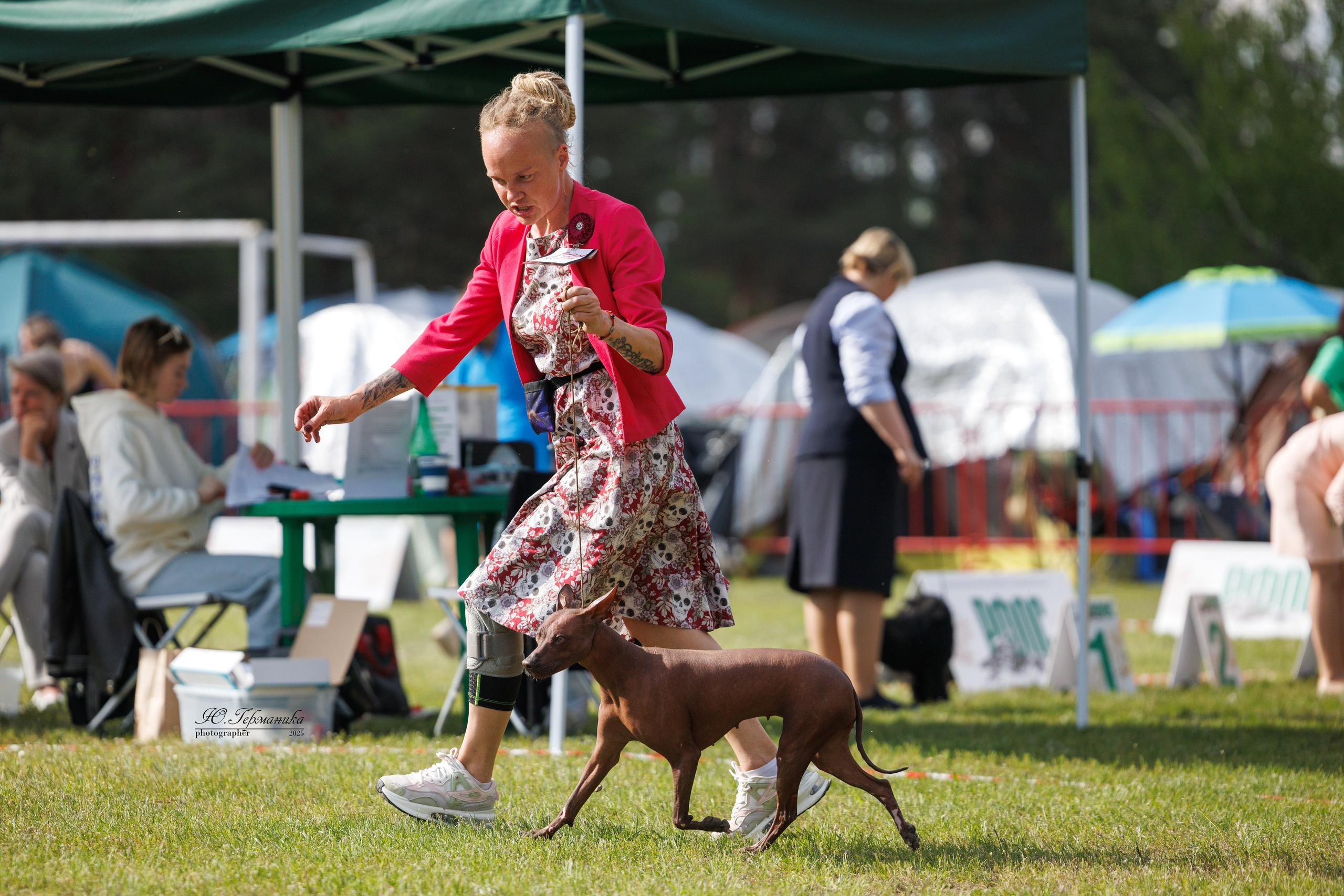 Суздаль(Владимир)17-18.05.2025. Фотограф-анималист Юлия Германика