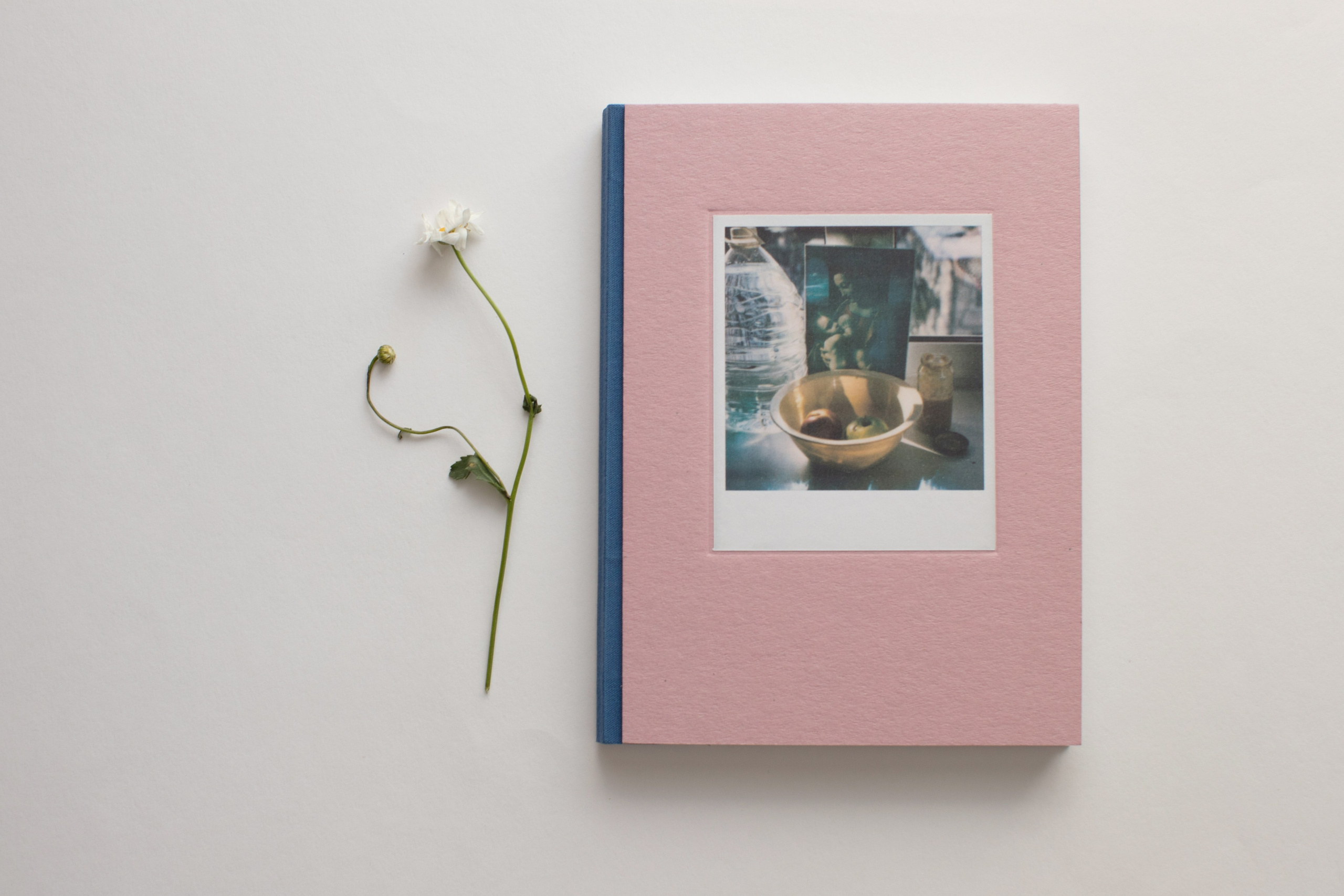 Mom's Diary. Заставка