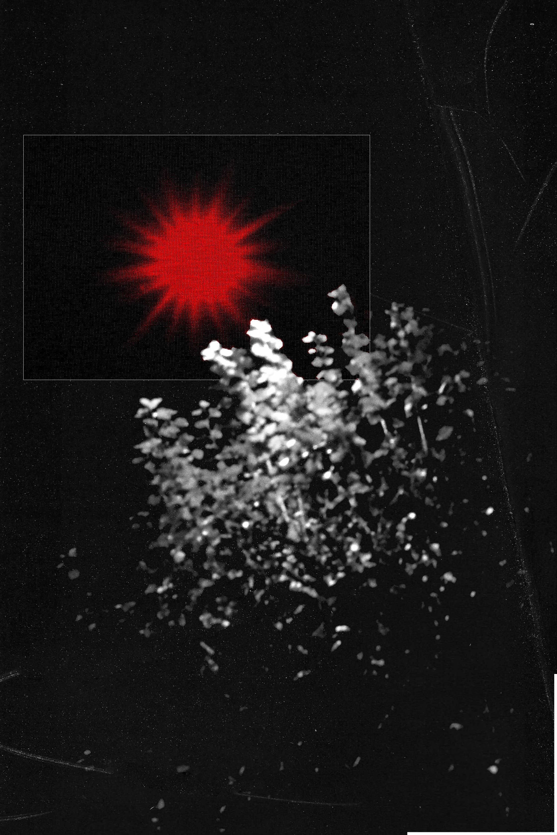 Artwork. Фотограф Ваня Бархатов