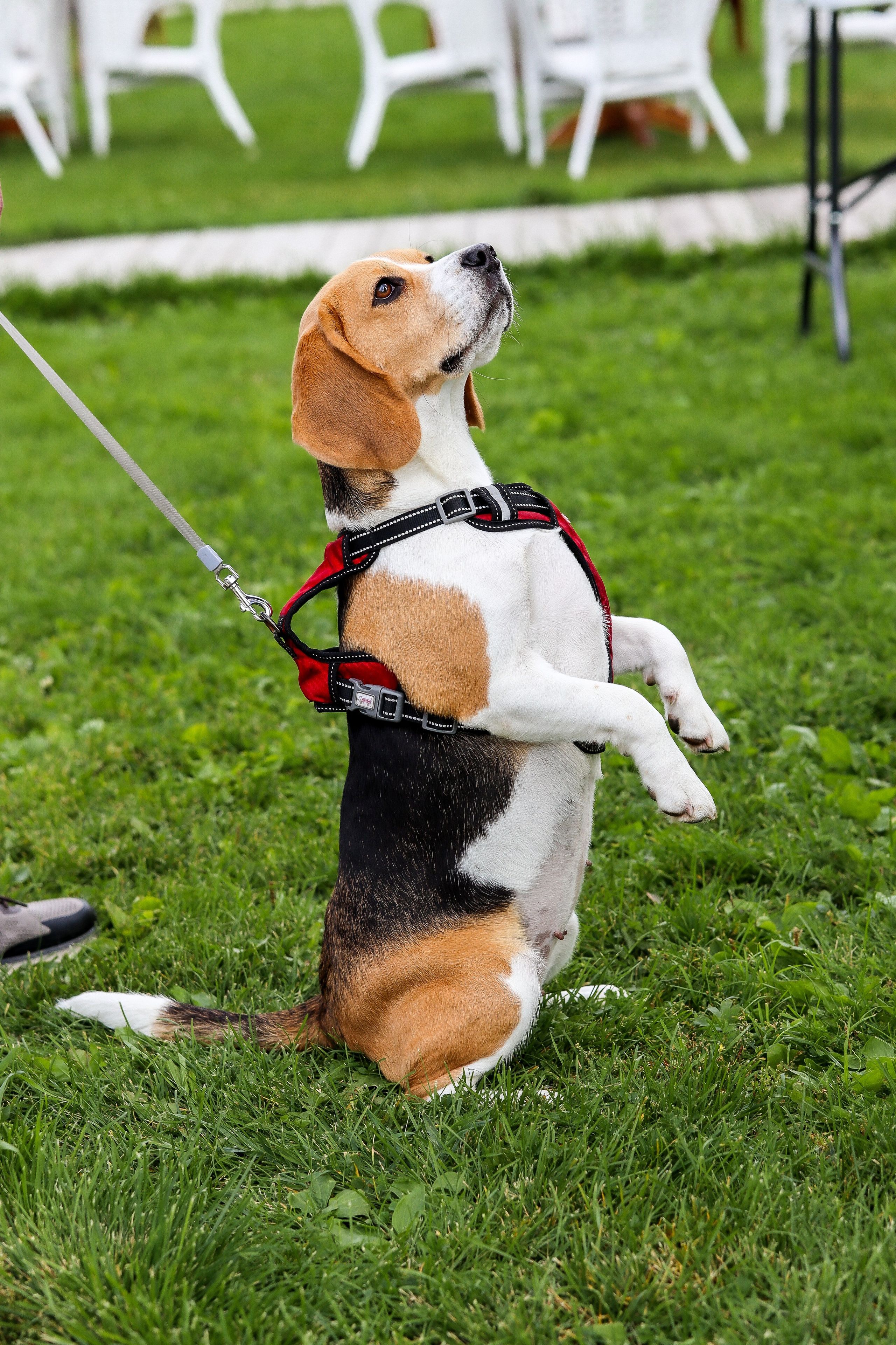PEPSICO 25 лет. ФОТОГРАФ ЕКАТЕРИНБУРГ