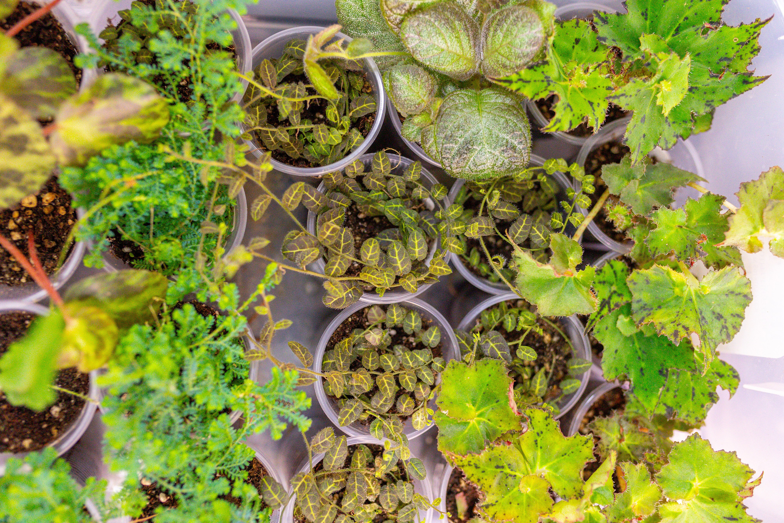 Монстериум 11–12 октября. Александра Куликова фотограф, Москва