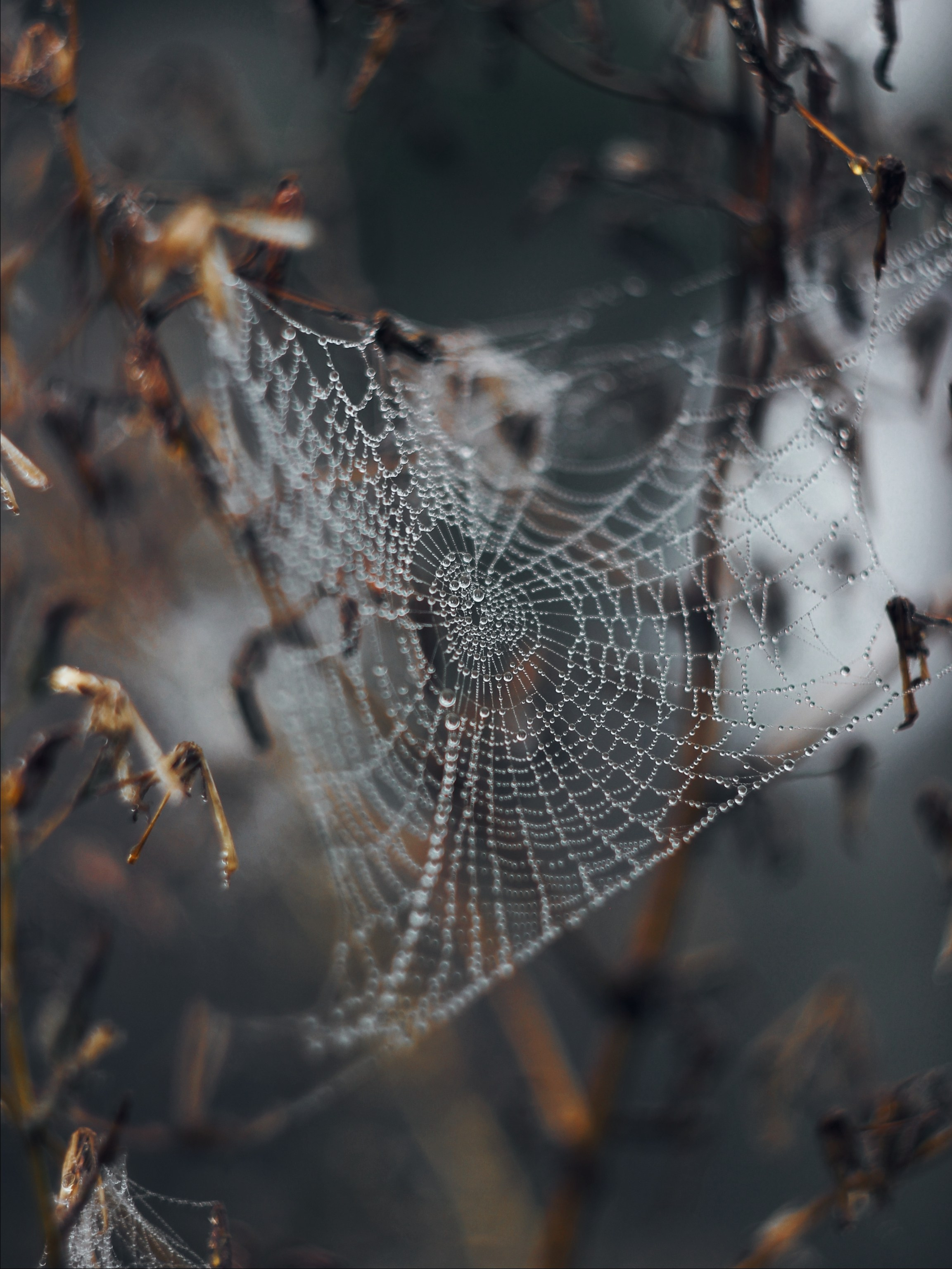 Меланхолия августа. С любовью, фотохудожник