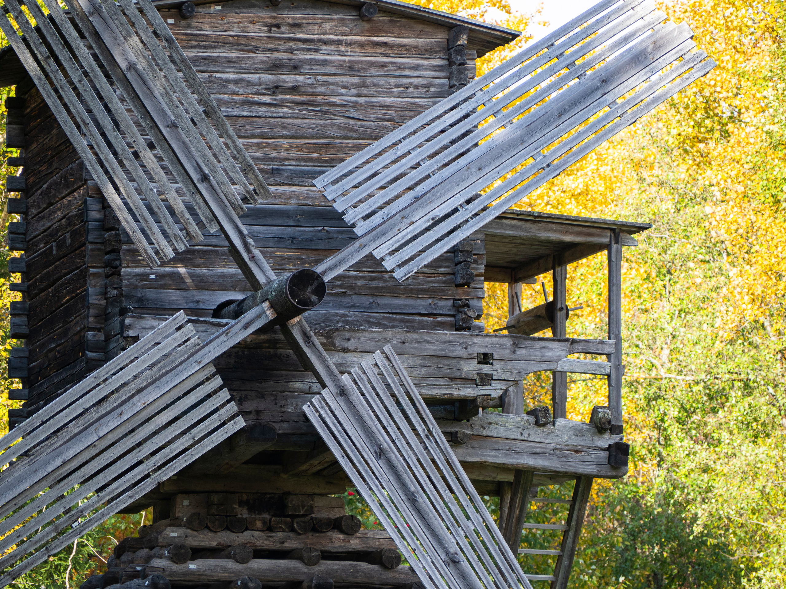 Малые Корелы. Вижу