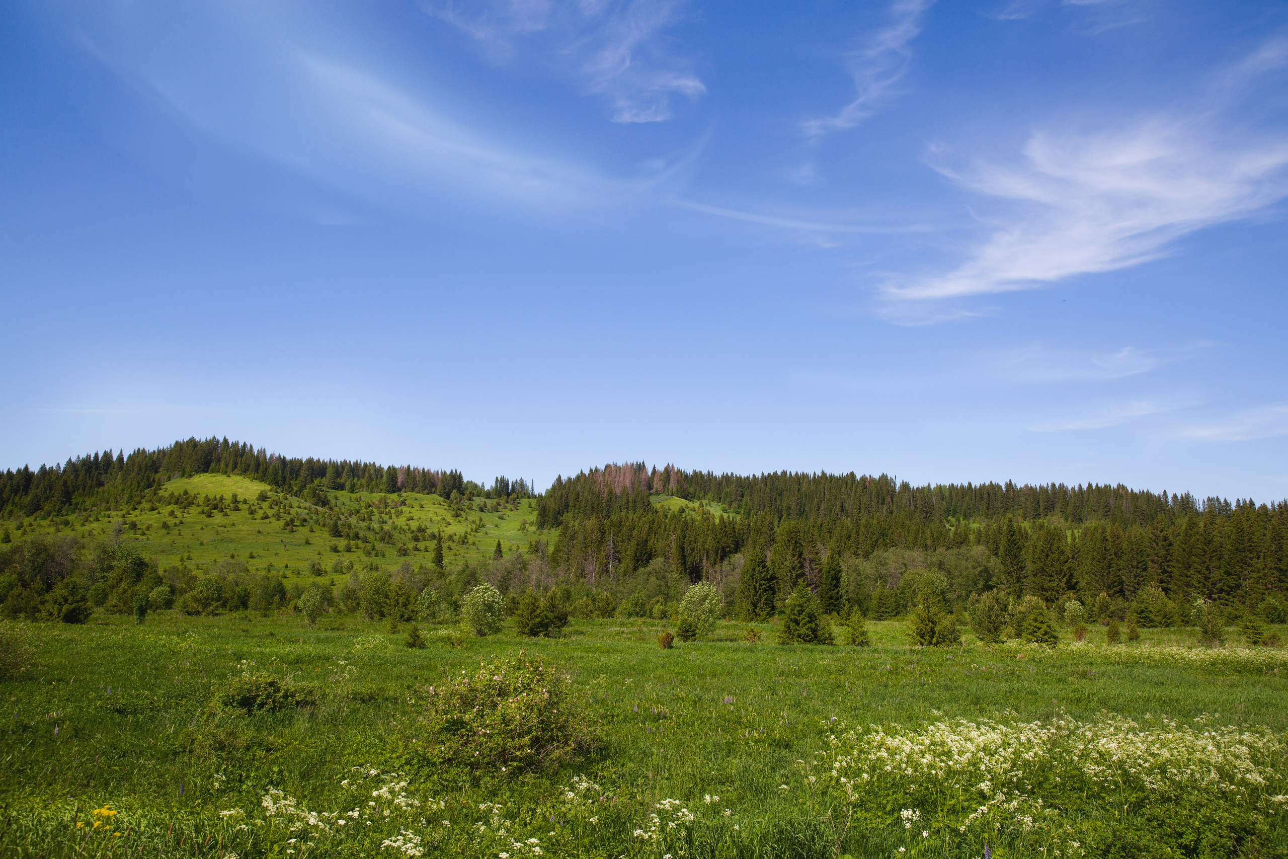 Пермь- Хохловка-Белогорье. Мой фотомир