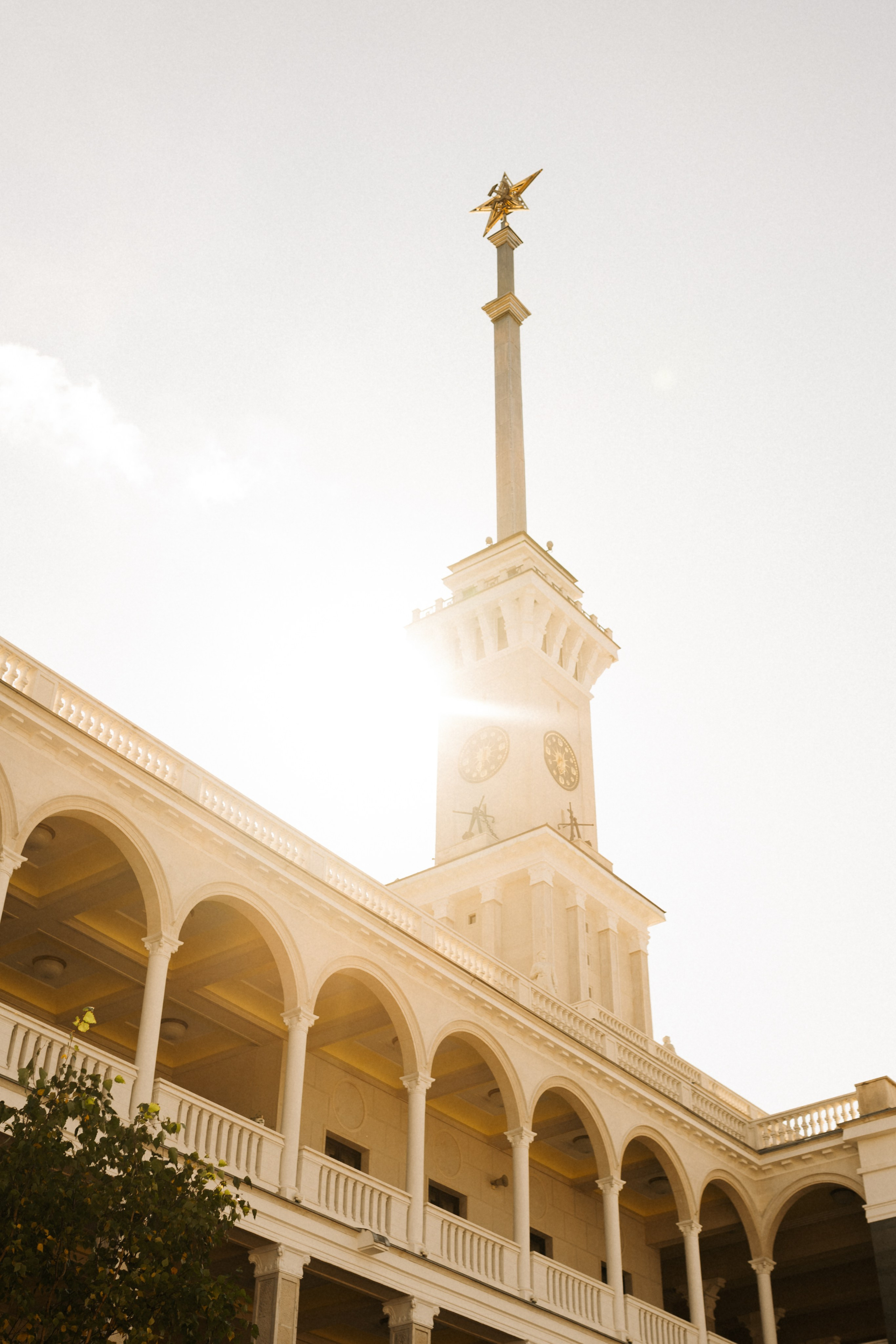 Даша и Вайт. Фотограф анималист в Москве Ольга Агушева