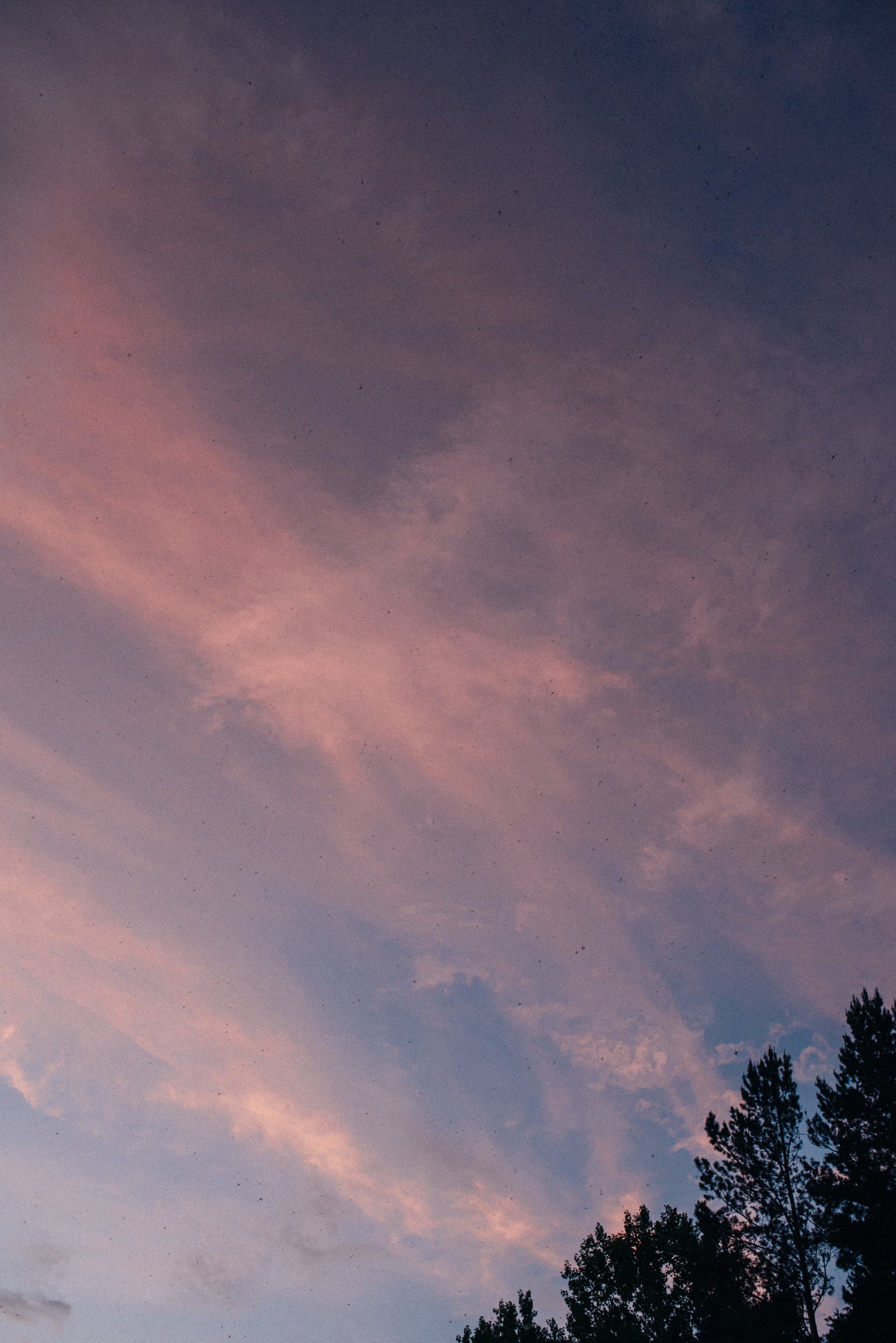 Свадьбы. Свадебный и портретный фотограф Диана Першай