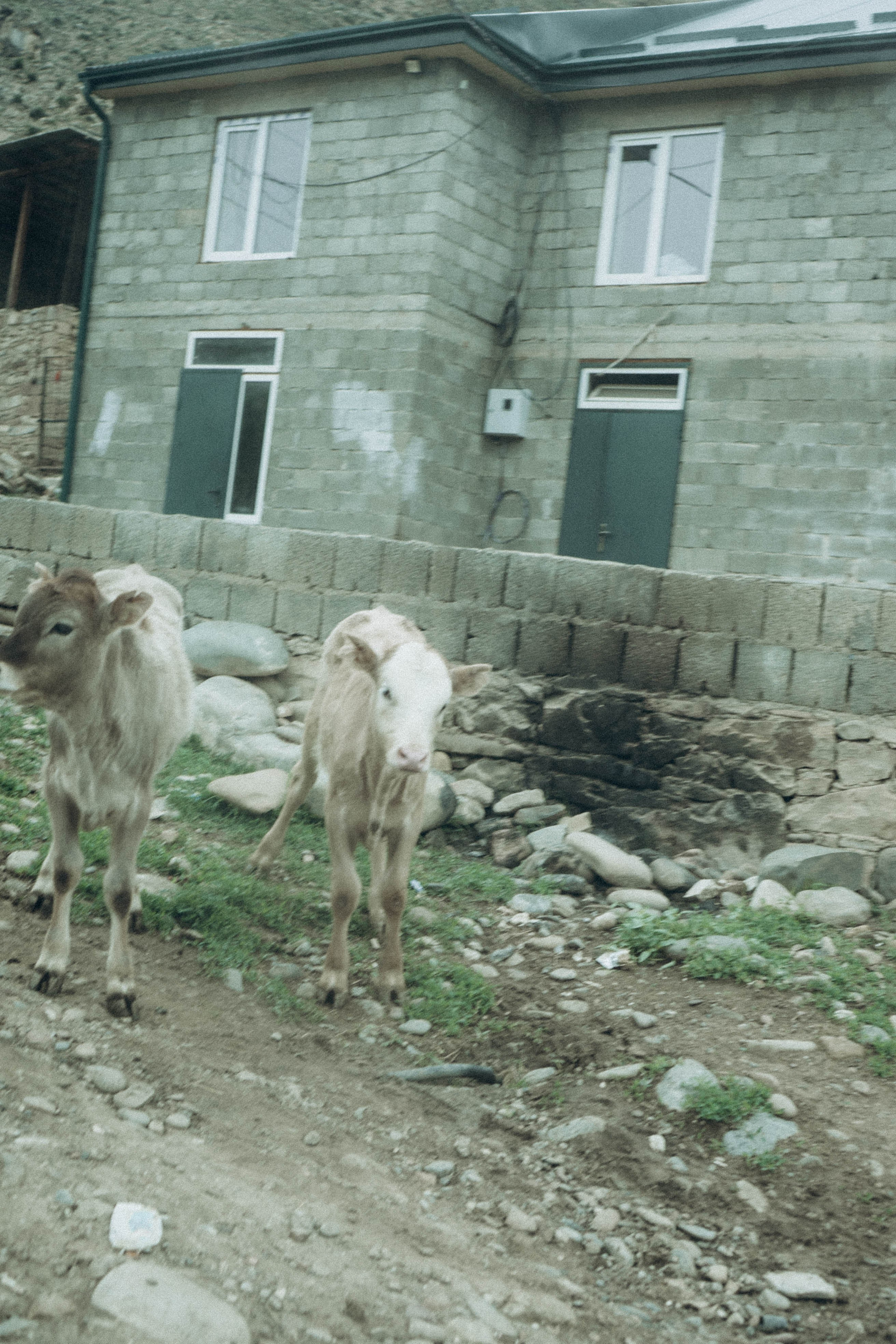 Кавказ. Профессиональный фотограф, Санкт-Петербург — Виктория Богомолова