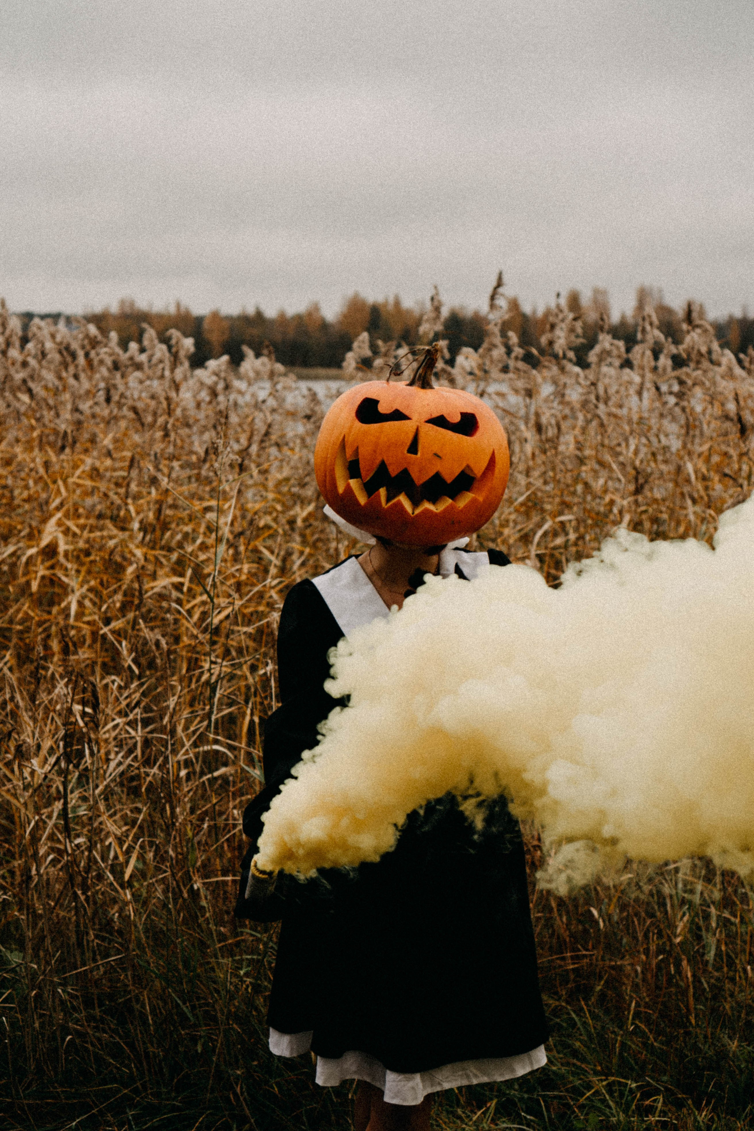 Осеняя. Профессиональный фотограф, Санкт-Петербург — Виктория Богомолова