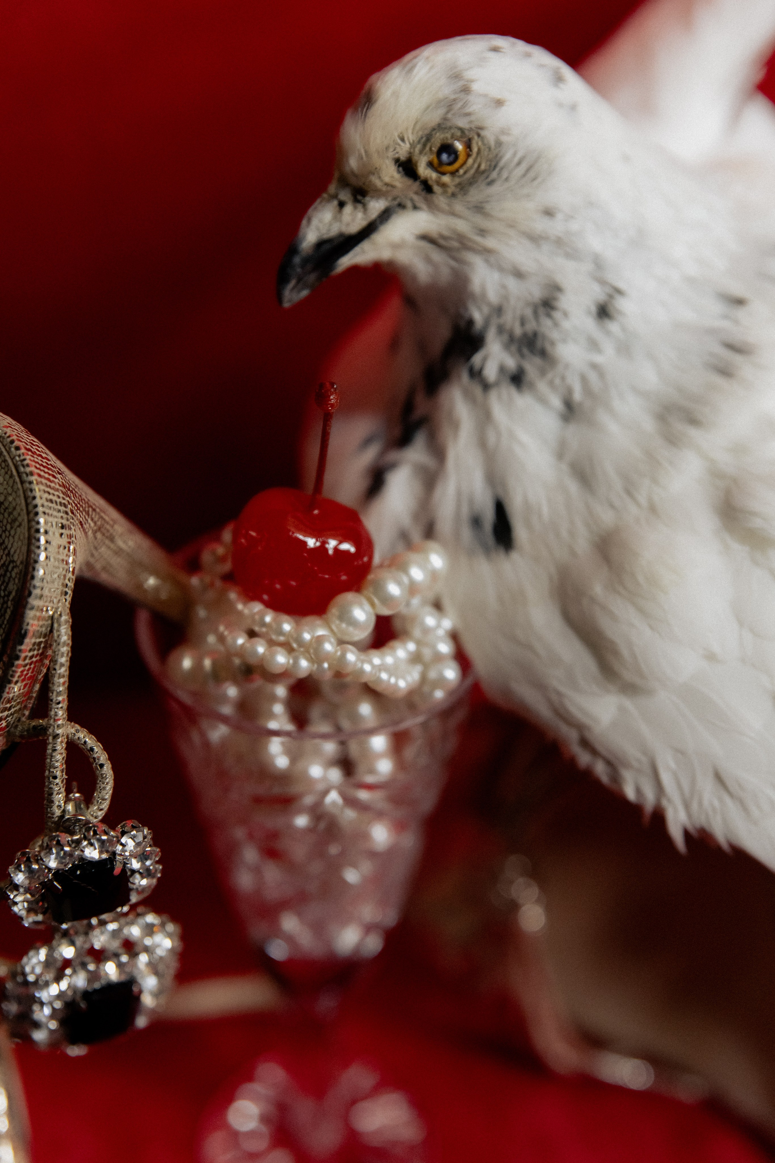 After Midnight История любви. Фотограф и Видеограф в Ростове на Дону