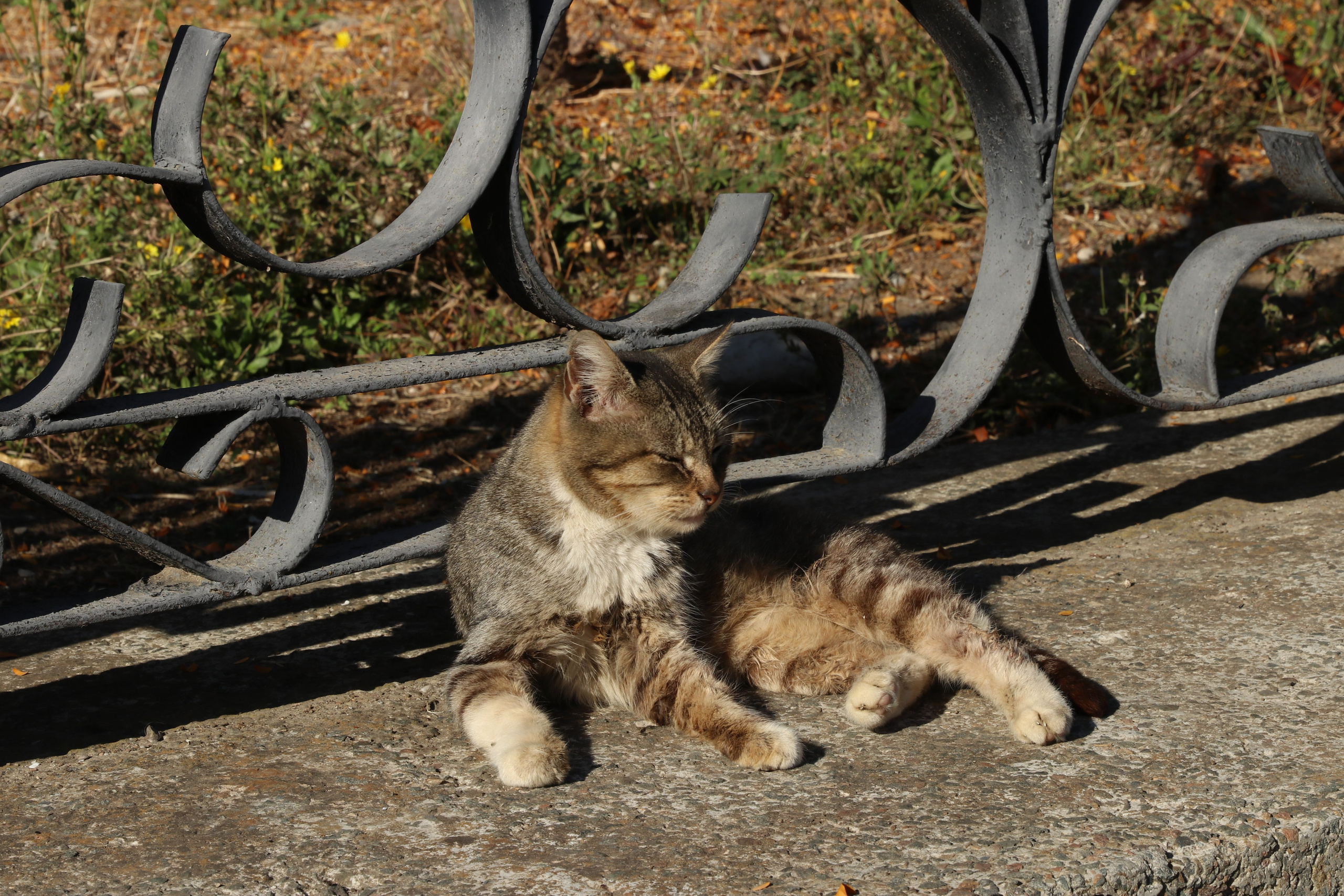 Крым. ЮБК (Гурзуф, Судак и их окрестности). Ноябрь 2023. Путешественник-фотограф из Санкт-Петербурга Татьяна Свистулина